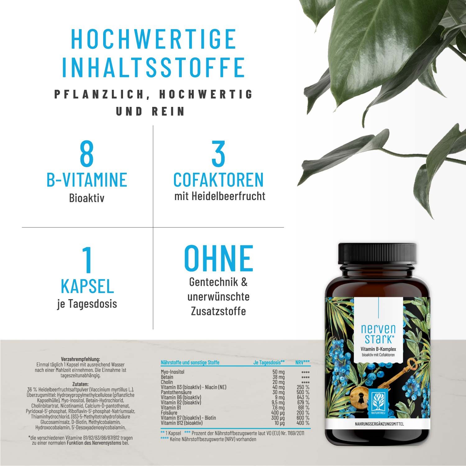 Vitamin B-Komplex (B1-B12) Mit 3 Kofaktoren Aktiv Hochdosiert ...