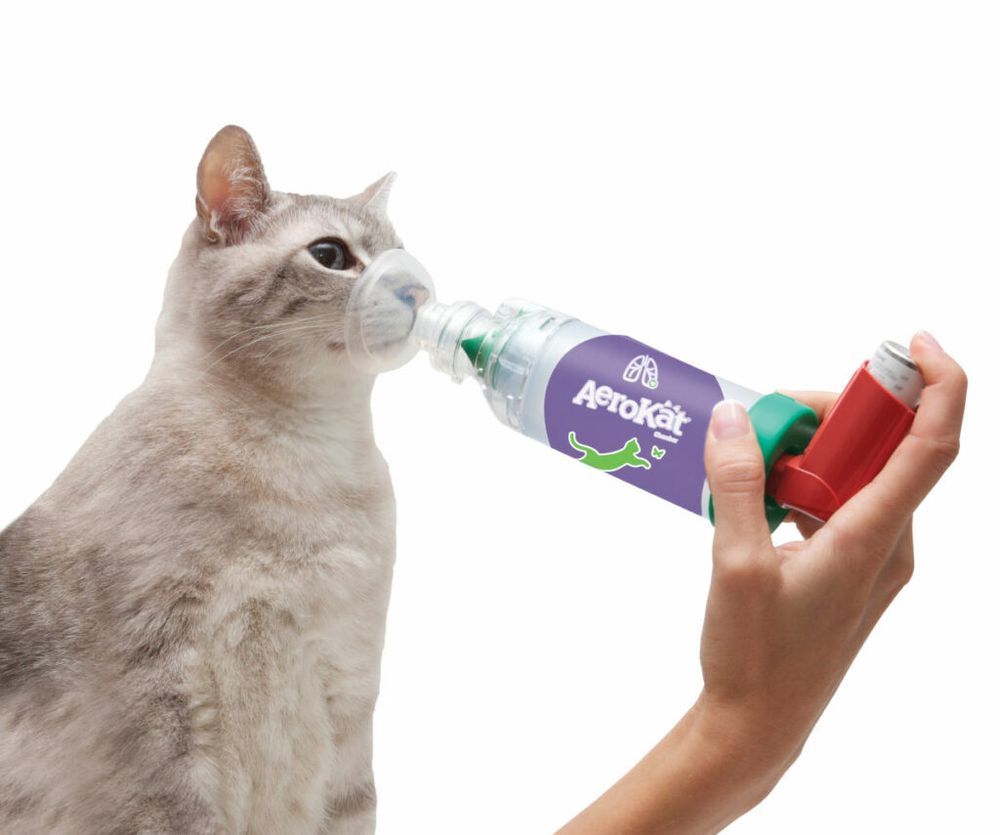 AeroKat Inhalationssystem für Katzen