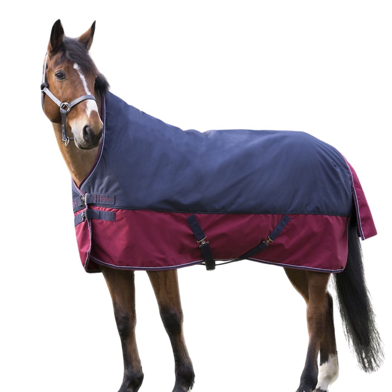 Equitheme Outdoordecke TYREX High Neck