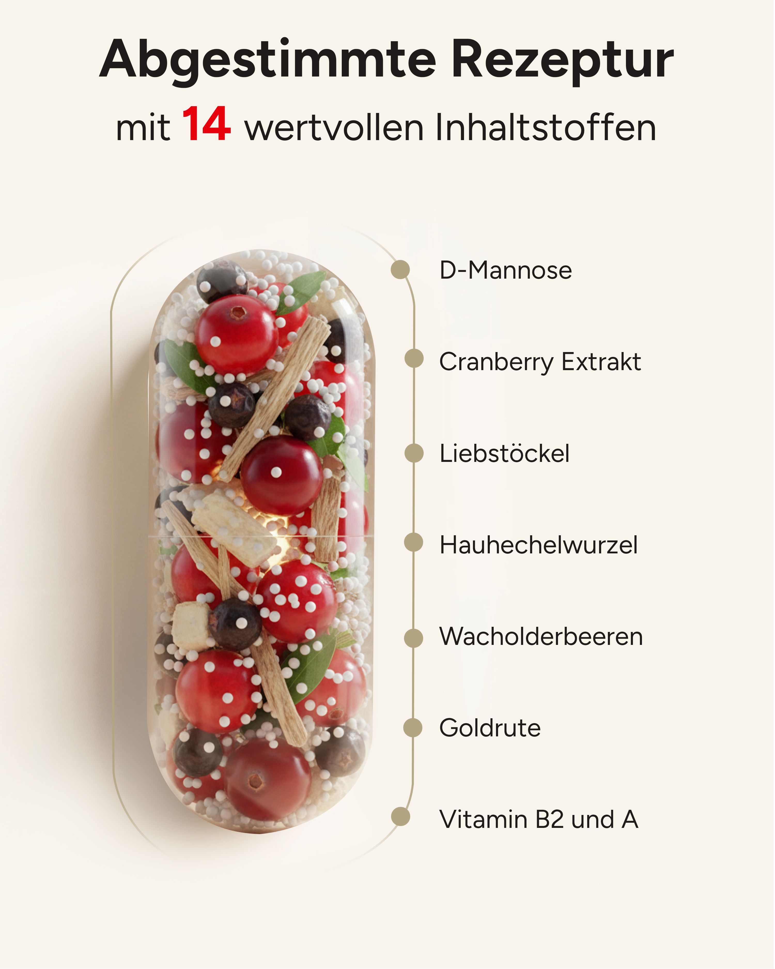Kapsel mit Inhaltsstoffen: D-Mannose, Cranberry Extrakt, Liebstöckel, Hauhechelwurzel, Wacholderbeeren, Goldrute, Vitamin B2 und A.