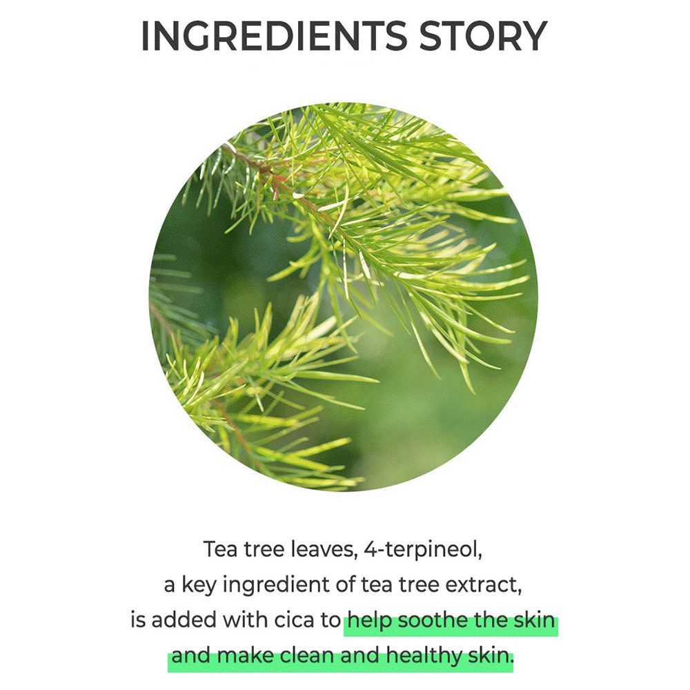 Nahaufnahme von Blättern. Text: Tea tree leaves, 4-terpineol, is added with cica to help soothe the skin and make clean and healthy skin.