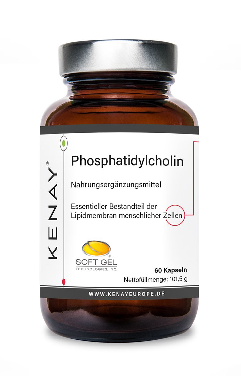 Braune Glasflasche mit weißem Etikett. Aufschrift: Phosphatidylcholin, KENAY, 60 Kapseln.