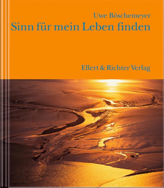 Buchcover mit Titel "Sinn für mein Leben finden" von Uwe Böschemeyer. Verlag Ellert & Richter. Landschaftsfoto mit Sonne.