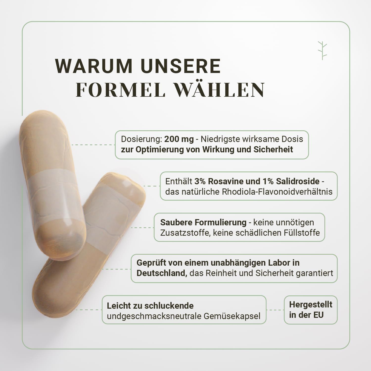 Zwei Kapseln neben Text. Text: Dosierung, 200 mg, 3% Rosavine, saubere Formulierung, geprüftes Labor, leicht zu schlucken, hergestellt in der EU.
