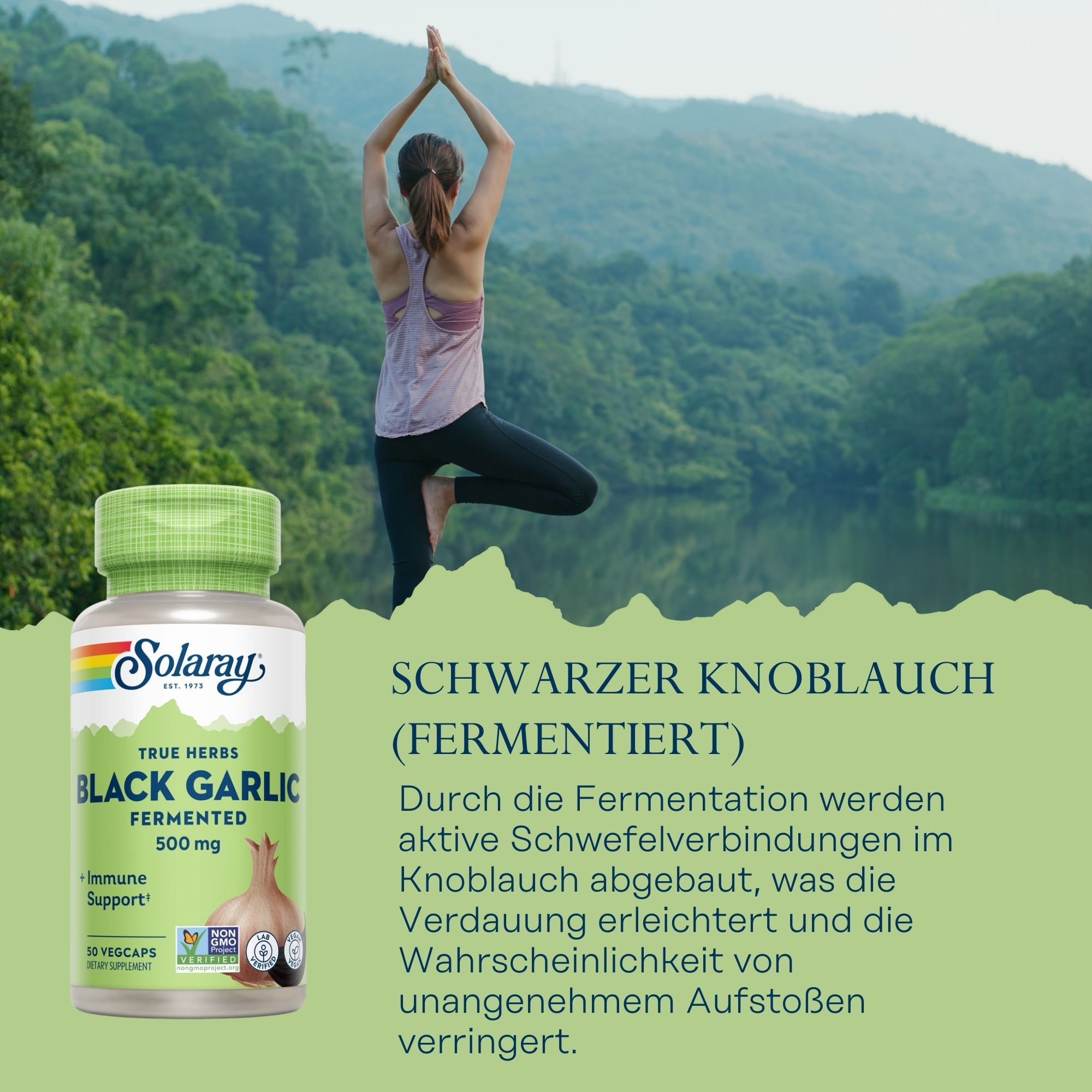 Solaray Black Garlic fermentiert 500 mg. Grüne Kapsel-Flasche, Frau in Yoga-Pose. Text: Schwarzer Knoblauch (fermentiert).