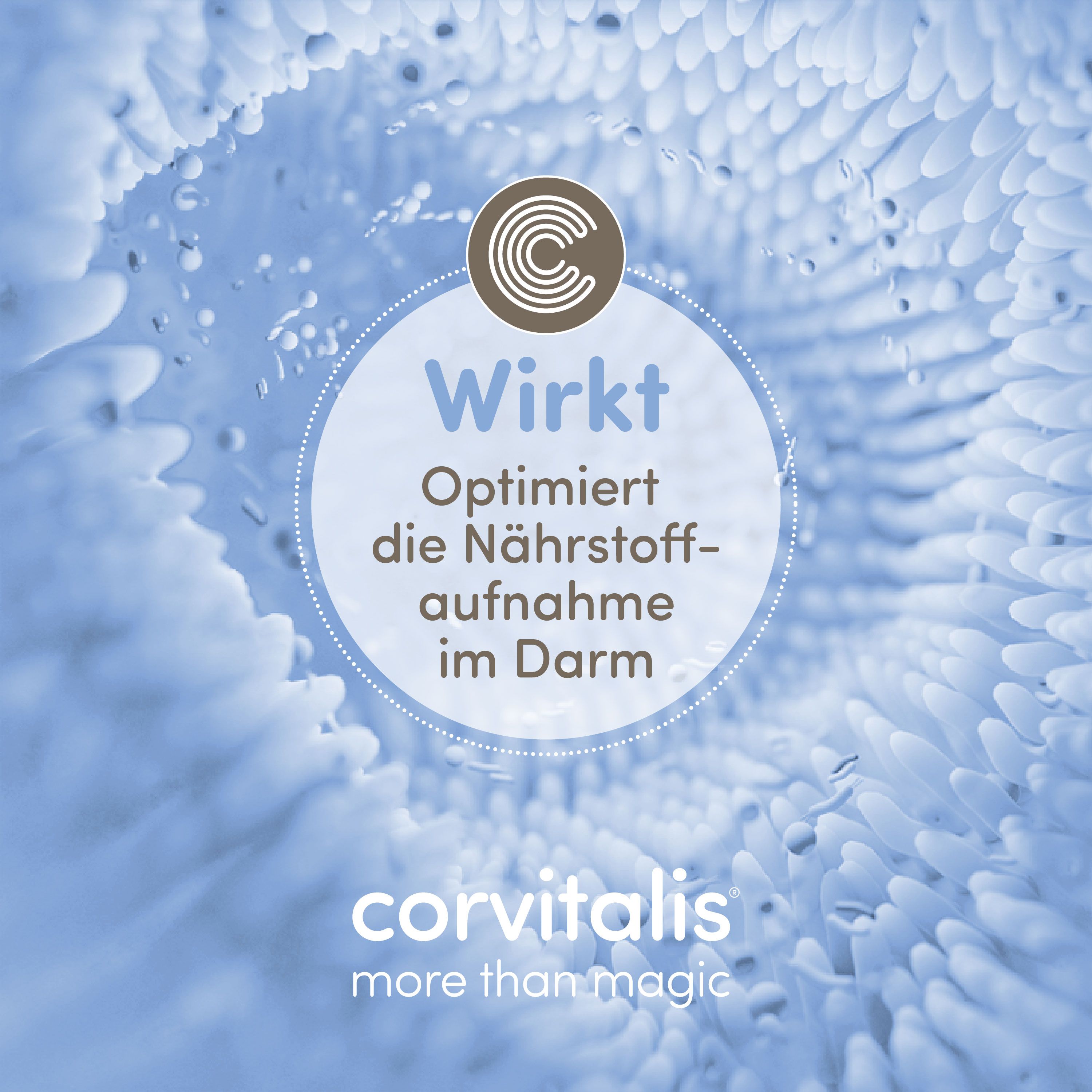 Blauer Hintergrund mit Text: Wirkt. Optimiert die Nährstoffaufnahme im Darm. Logo: corvitalis more than magic.