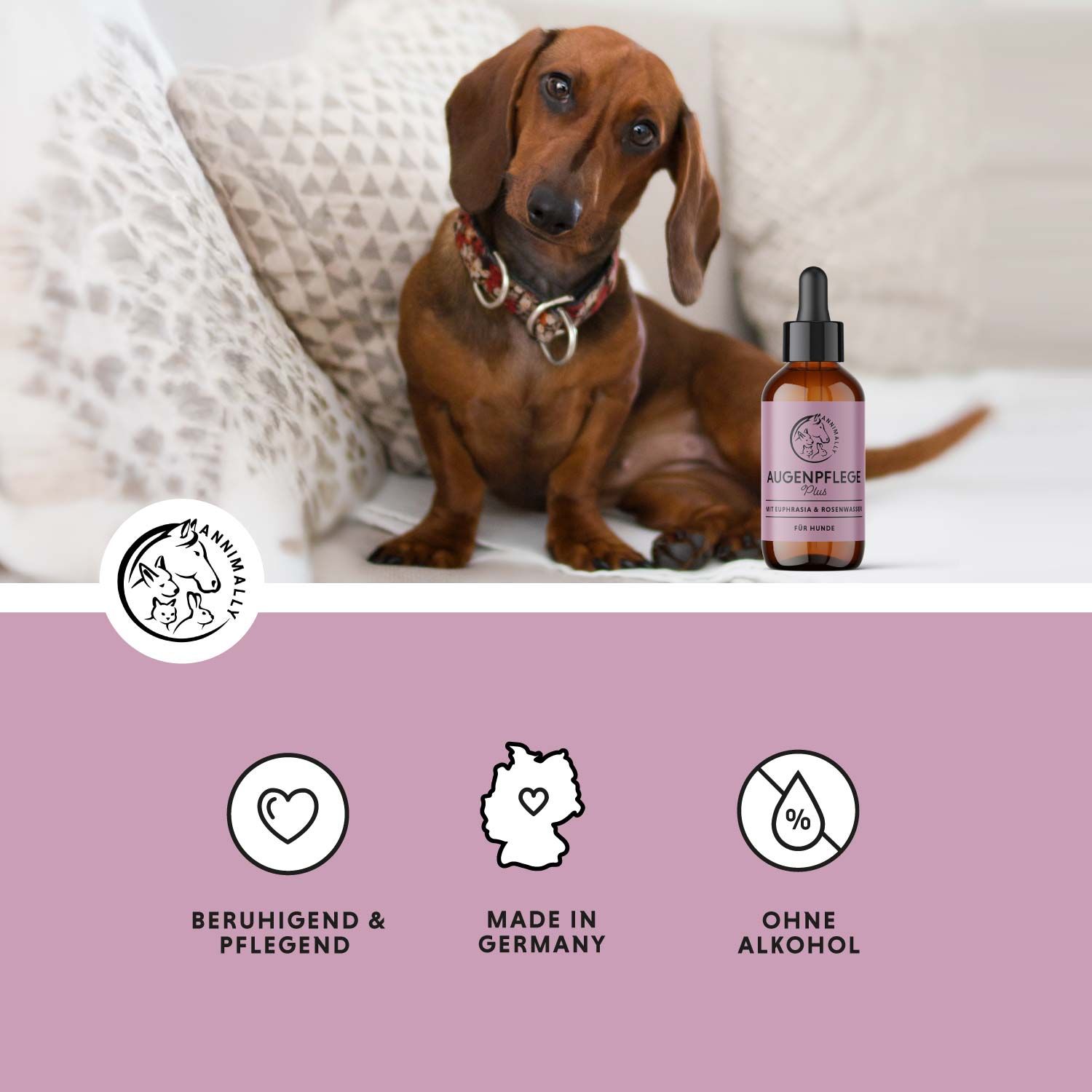 Hund mit Produktflasche und Icons. Flasche mit Etikett. Icons: Herz, Deutschlandkarte, Tropfen. Text: Beruhigend & Pflegend, Made in Germany, Ohne Alkohol.