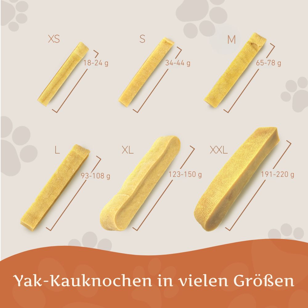 Sechs gelbliche Kausnacks in verschiedenen Größen, mit Größenangaben für Hunde von XS bis XXL.