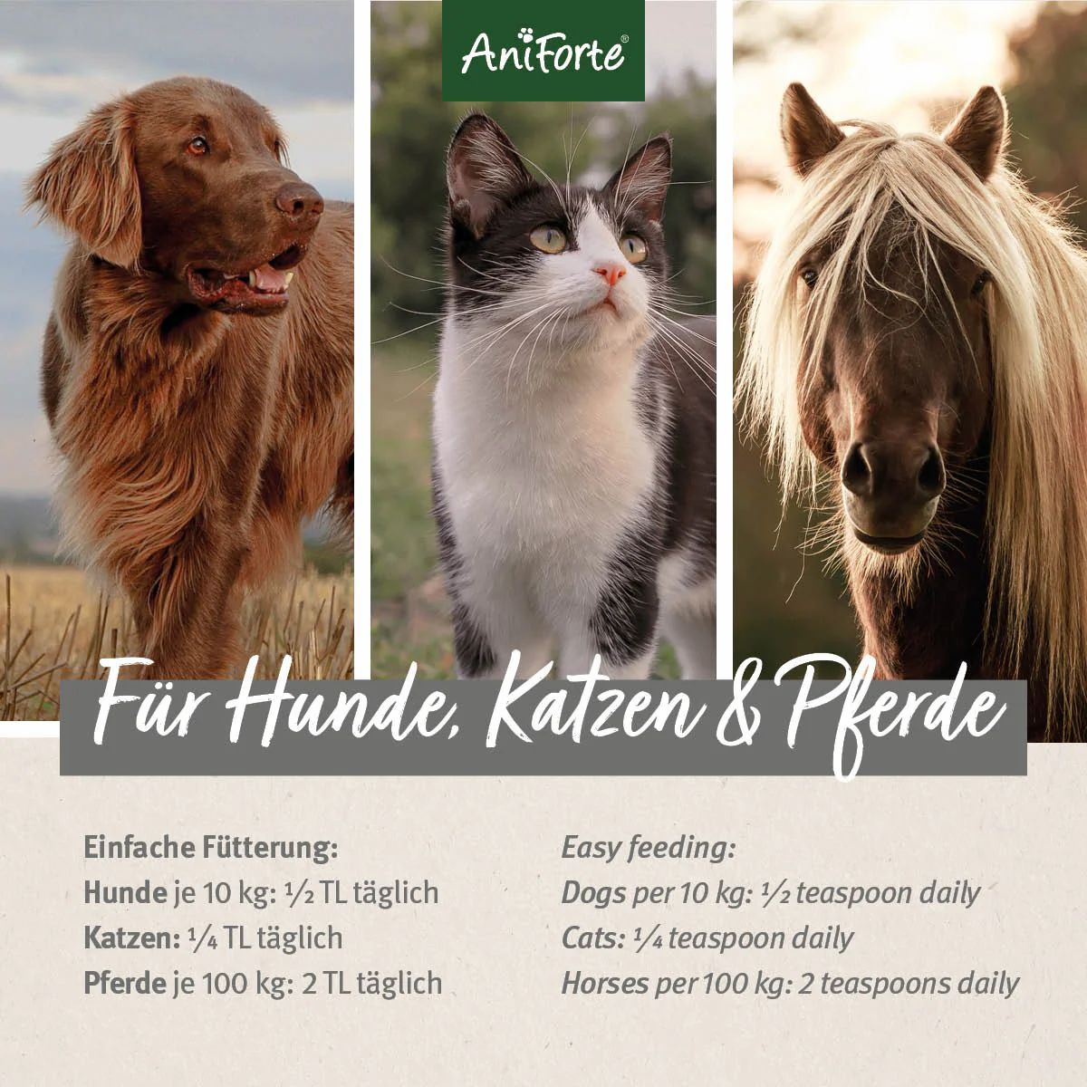 Drei Tiere: Hund, Katze, Pferd. Text: Für Hunde, Katzen & Pferde. Dosierungsangaben.