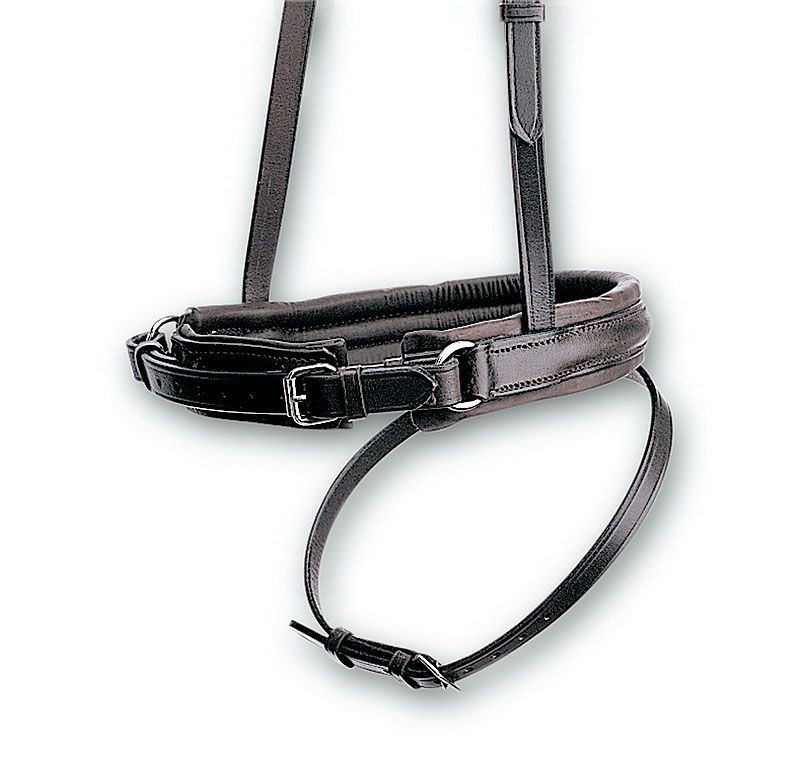 Schwarzes Reithalfter aus Leder mit Schnallen und Riemen, isoliert auf weißem Hintergrund.