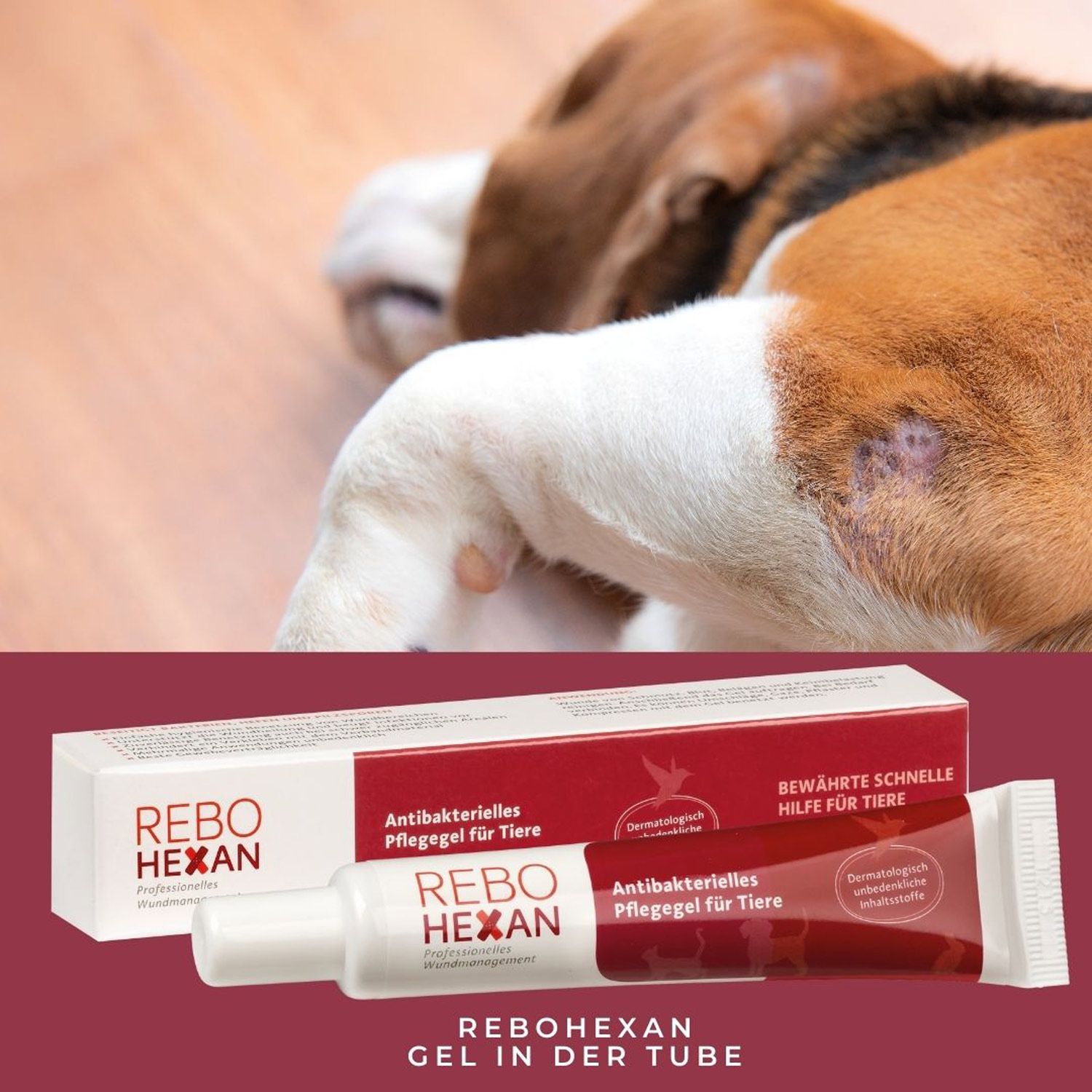 REBOHEXAN Gel Tube und Faltschachtel neben liegendem Hund. Antibakterielles Pflegegel für Tiere.