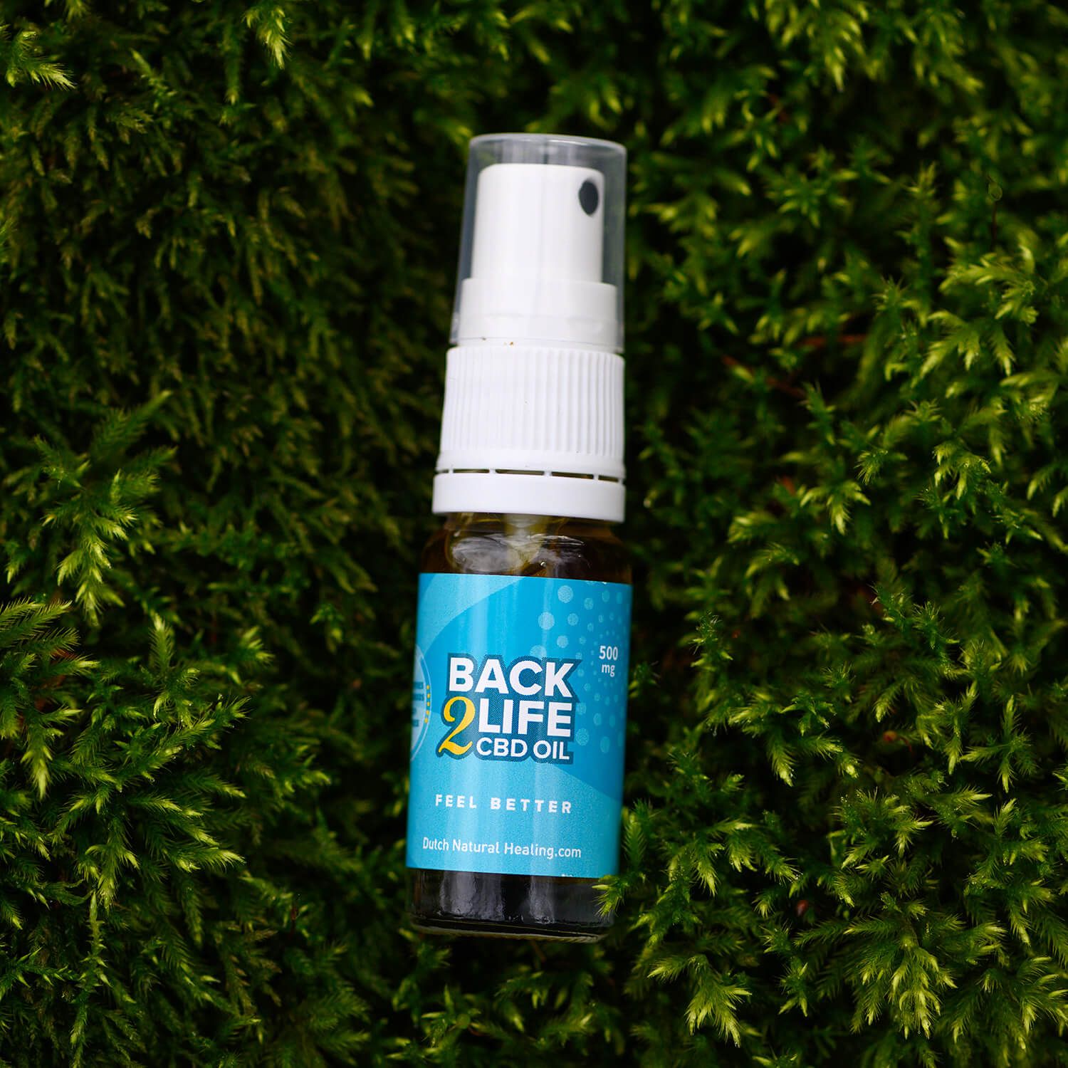 Klarflasche mit weißem Sprühkopf auf Moos. Blaues Etikett mit "BACK 2 LIFE CBD OIL" und "FEEL BETTER".