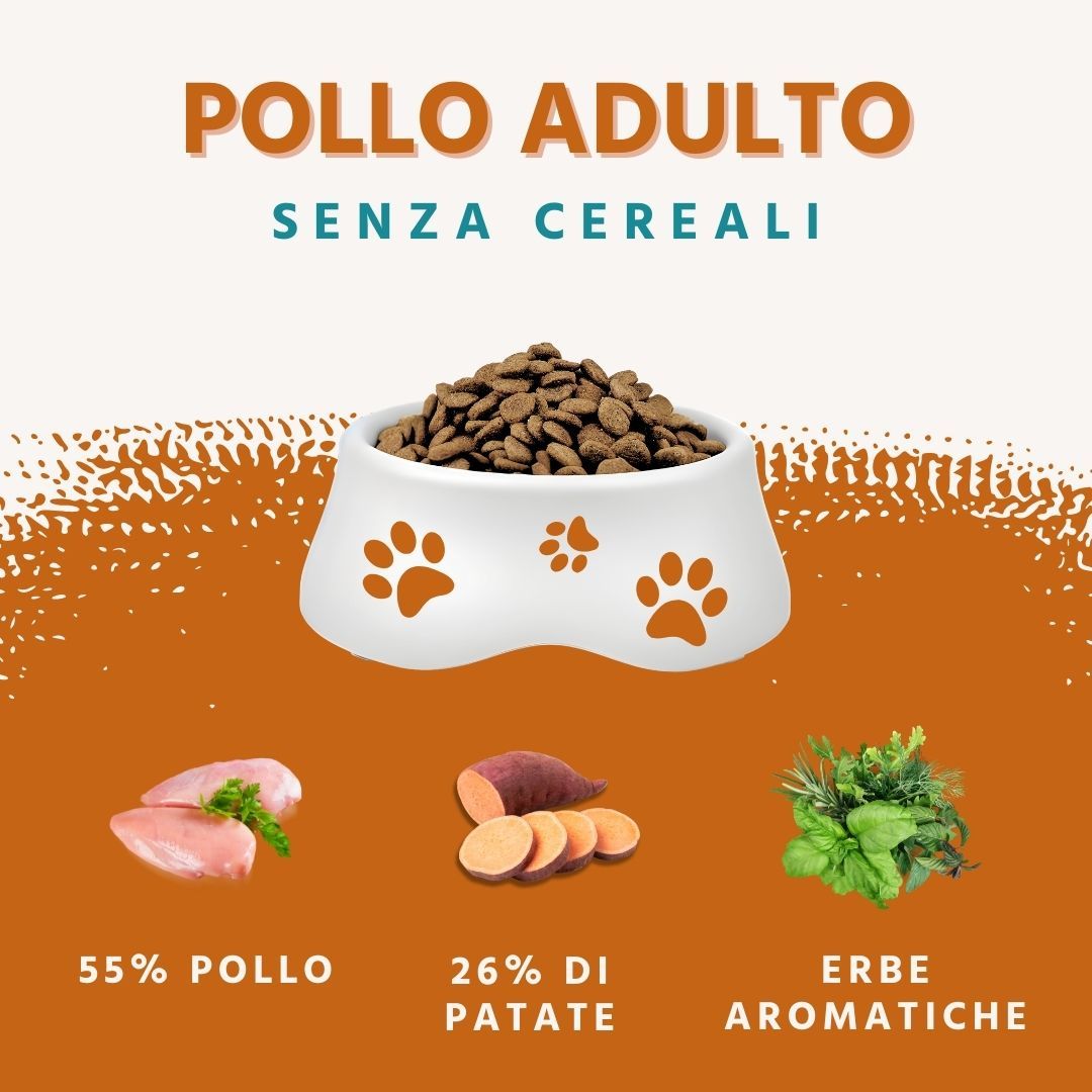 Hundefutter in Schüssel. Zutaten: Huhn, Süßkartoffeln, Kräuter. Text: Pollo Adulto, Senza Cereali.