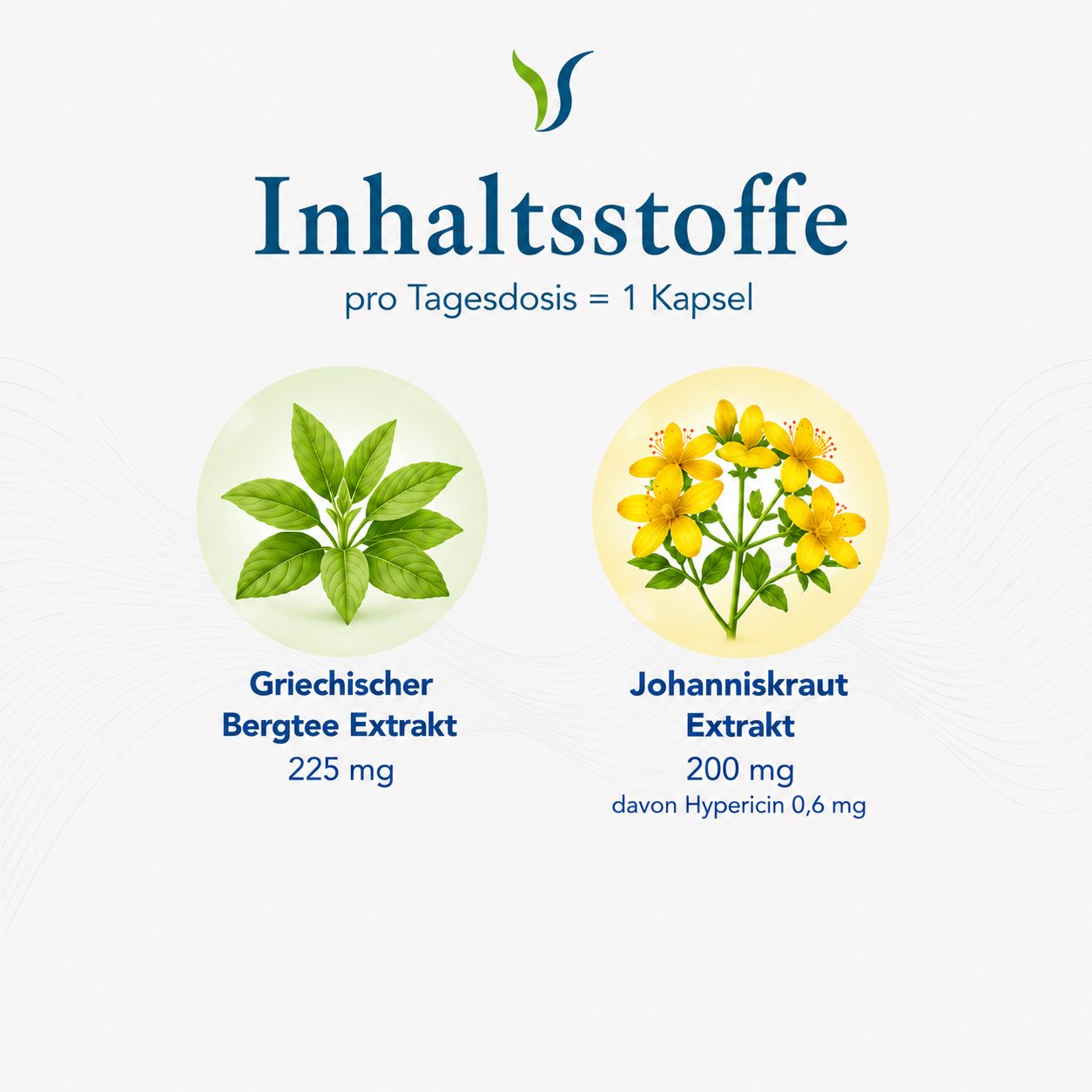 Extrakte Griechischer Bergtee und Johanniskraut, Vitalsee.