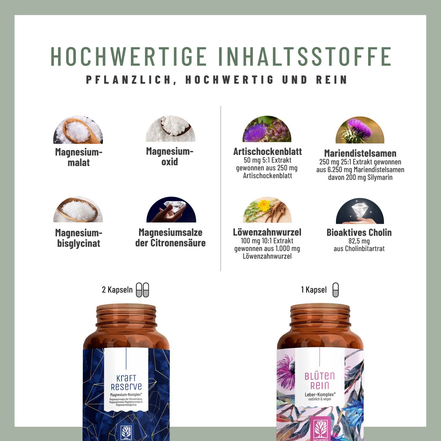 Infografik mit Inhaltsstoffen. Magnesiummalat, -oxid, -bisglycinat, Zitronensäure. Artischockenblatt, Mariendistelsamen, Löwenzahnwurzel, Bioaktives Cholin.