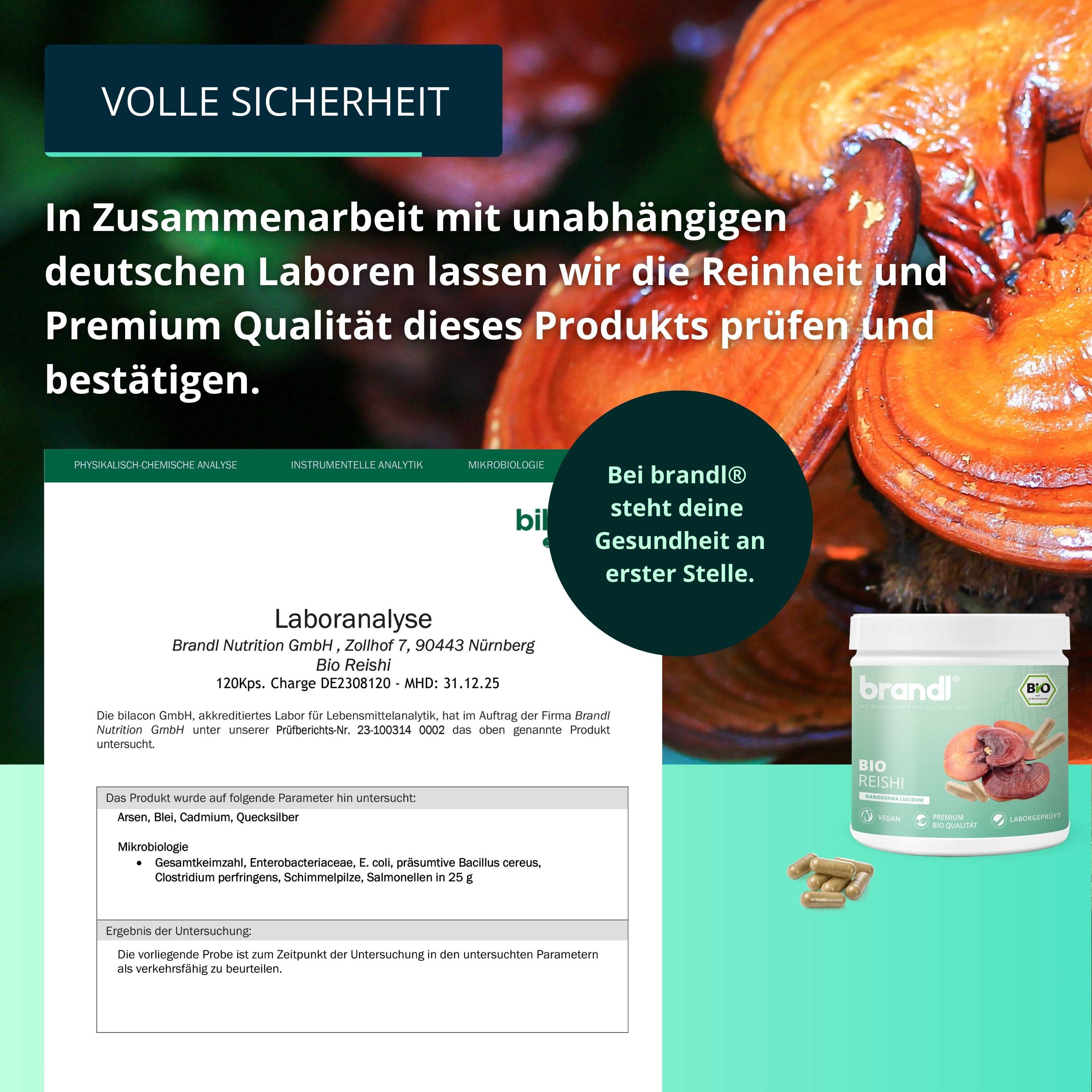 Laboranalyse-Dokument mit Produktglas und Kapseln. Text: Reishi Bio, Laboranalyse, Reinheit und Premium Qualität.