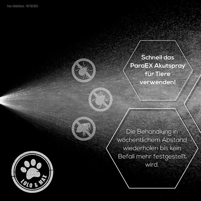 Lolo & Max - ParaEx - Akutspray für Tiere