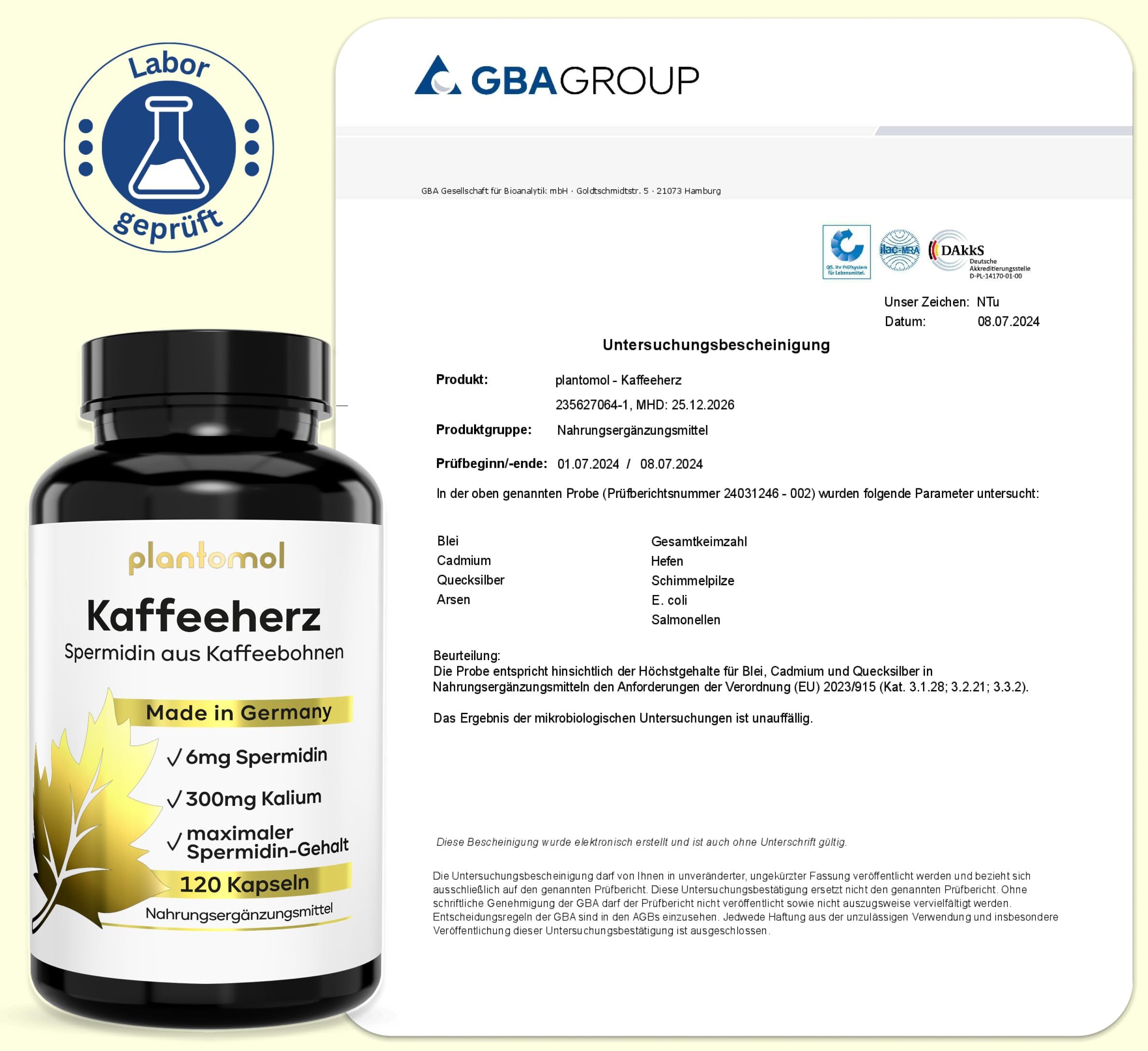 Braune Flasche plantomol® Kaffeeherz Kapseln neben einem Laborbericht. Aufschrift: 6mg Spermidin, 300mg Kalium, 120 Kapseln.