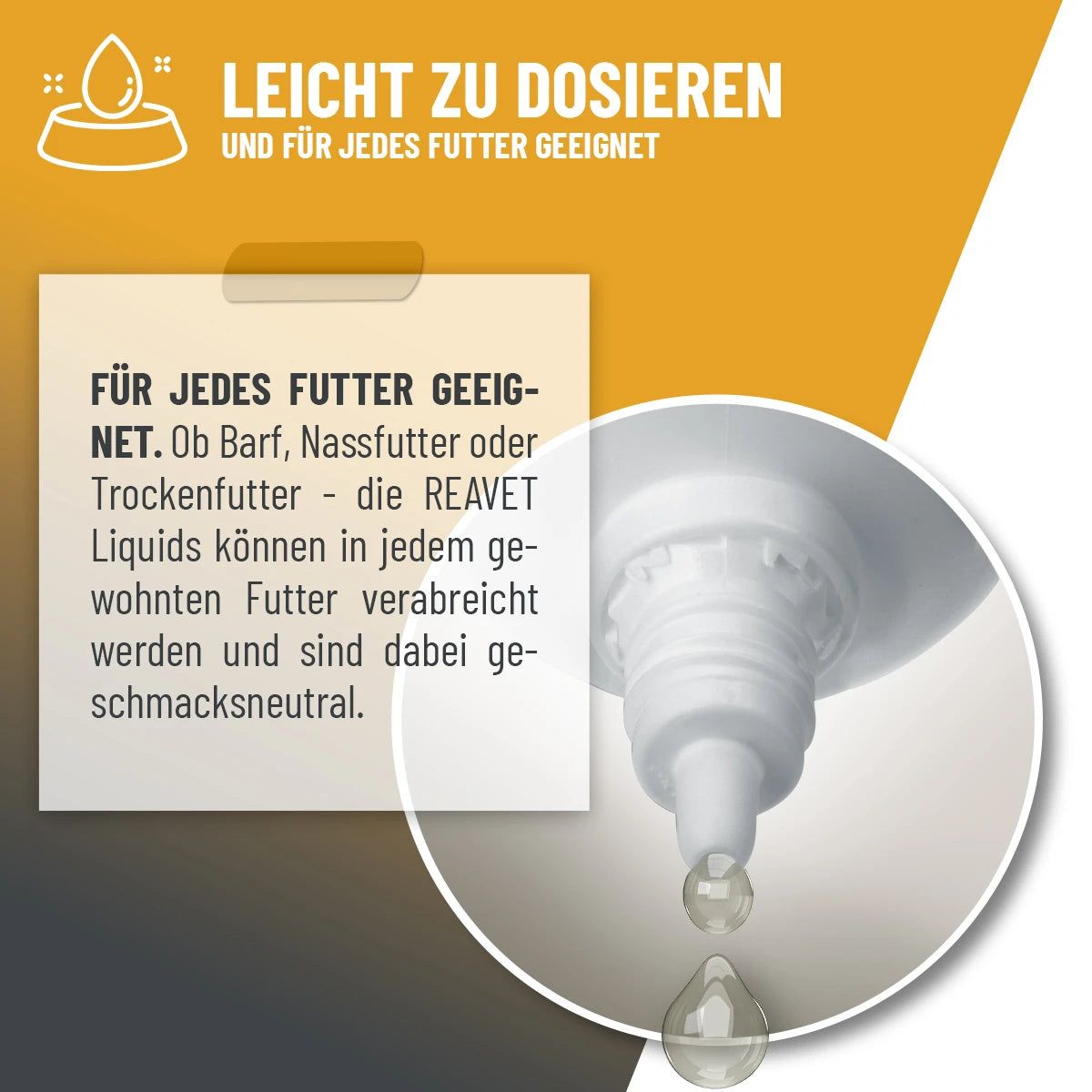 Immun Aufbau Tropfen - ReaVET