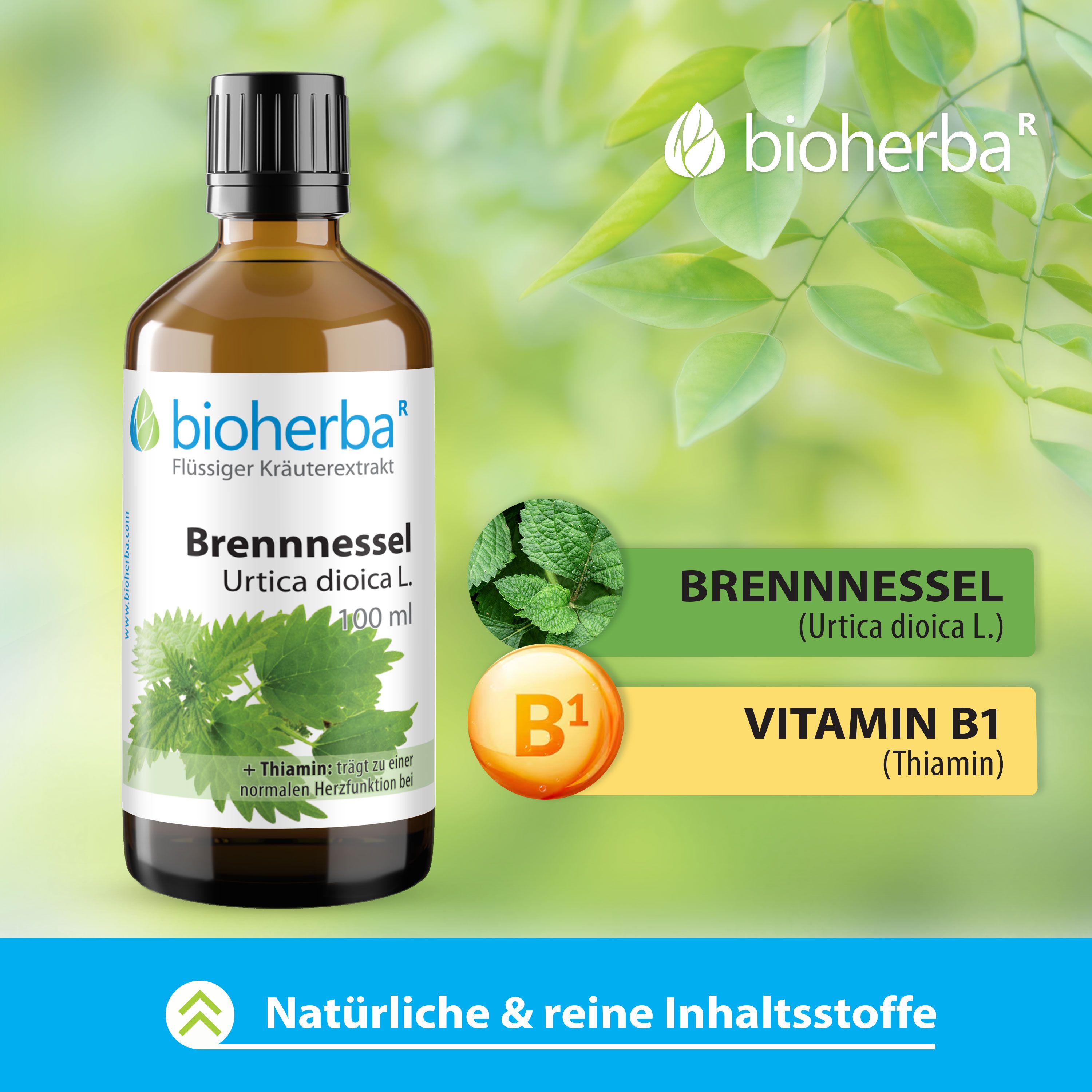 Braune Glasflasche mit schwarzem Deckel. Bioherba Brennnessel Urtica dioica L. Tropfen Tinktur. Zusätzliche Elemente: Vitamin B1.