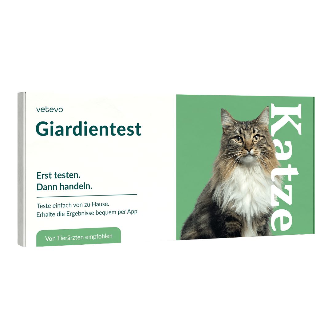 Produktverpackung mit Text: "Giardientest Katze". Aufschrift: "Erst testen. Dann handeln." und ein Katzenfoto.