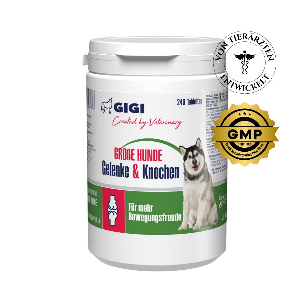 Weiße Dose mit GIGI VET Große Hunde Gelenke & Knochen. Aufschrift: 240 Tabletten. Siegel: Von Tierärzten entwickelt, GMP.