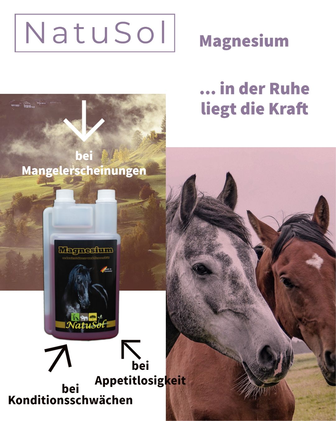 Werbung für Magnesium-Ergänzungsfuttermittel für Pferde. Flasche mit Etikett, "Magnesium"-Schriftzug, NatuSol-Logo, Pferdeköpfe, Text.