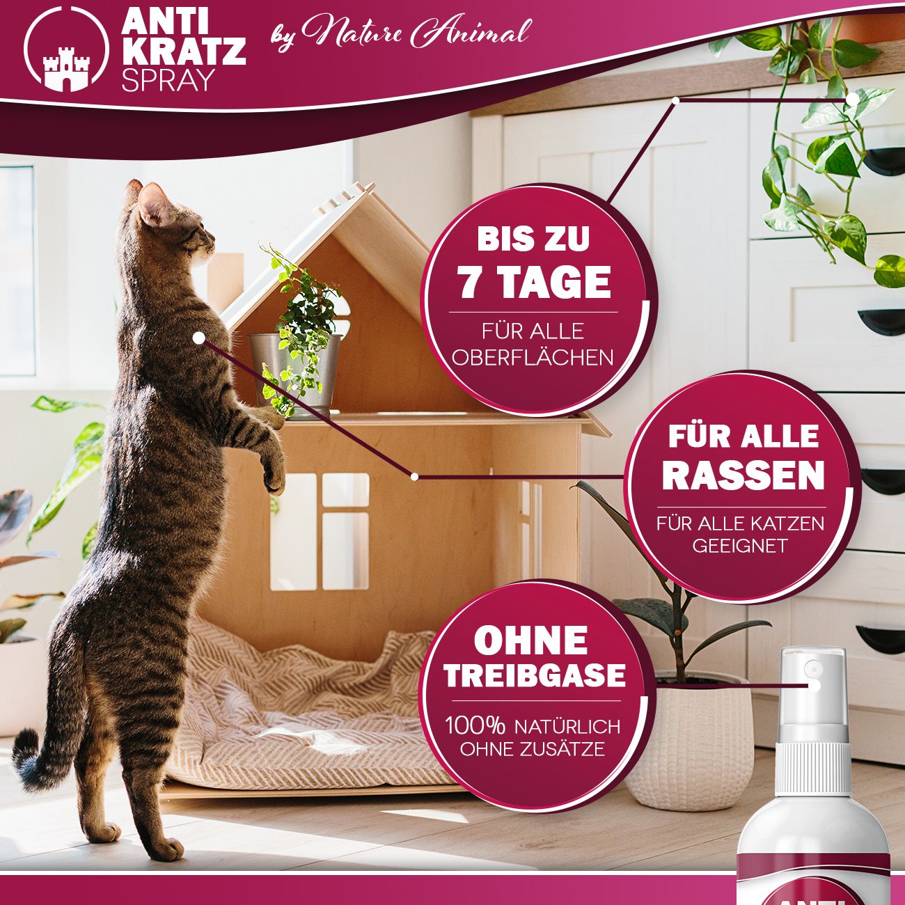 Produktabbildung mit Katze und Puppenhaus. Text: Anti Kratz Spray, Bis zu 7 Tage, Für alle Rassen, Ohne Treibgase.