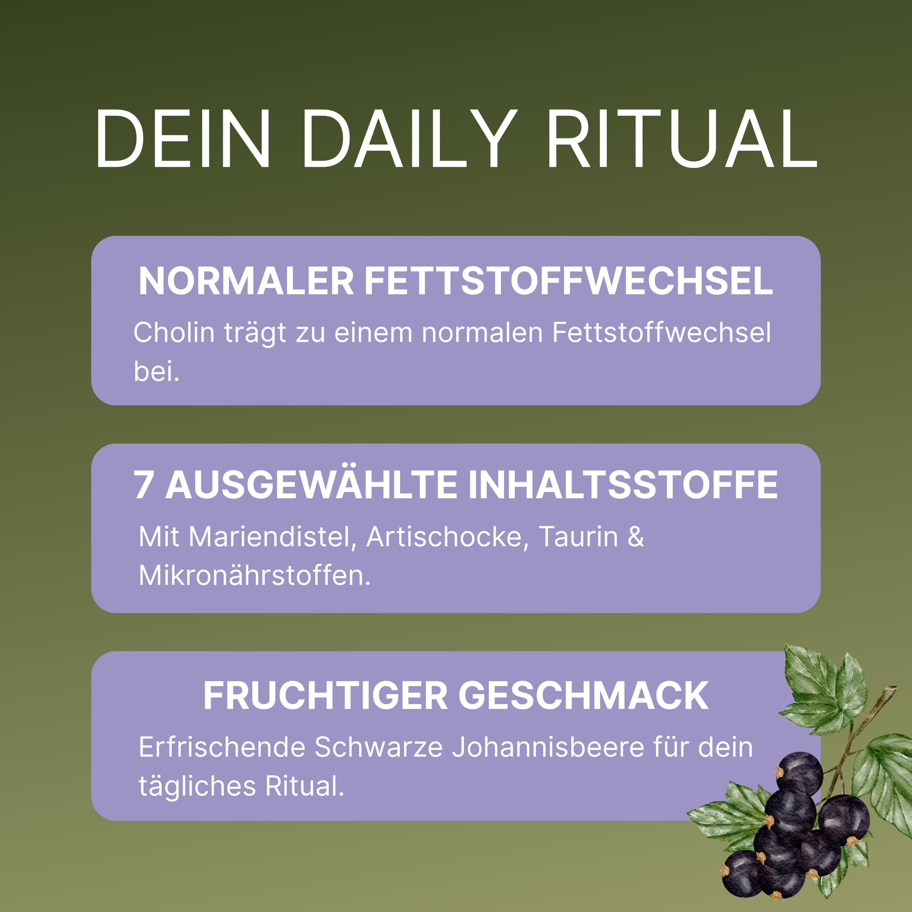 wellbe® Daily Detox Drink – mit Cholin, Mariendistel, Artischocke – Schwarze Johannisbeere