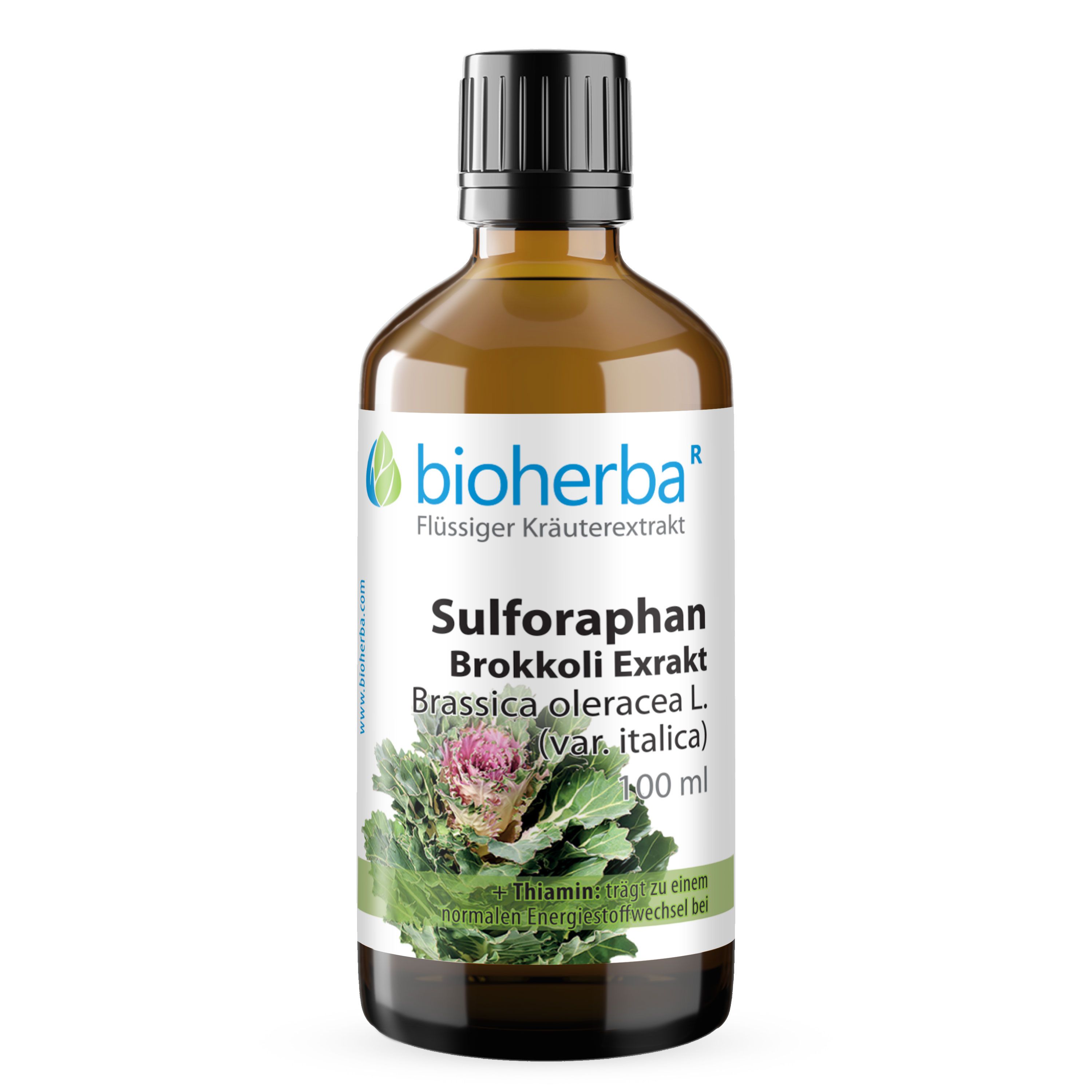 Braune Glasflasche mit schwarzem Deckel. Sulforaphan Brokkoli Exrakt. 100 ml Flasche.