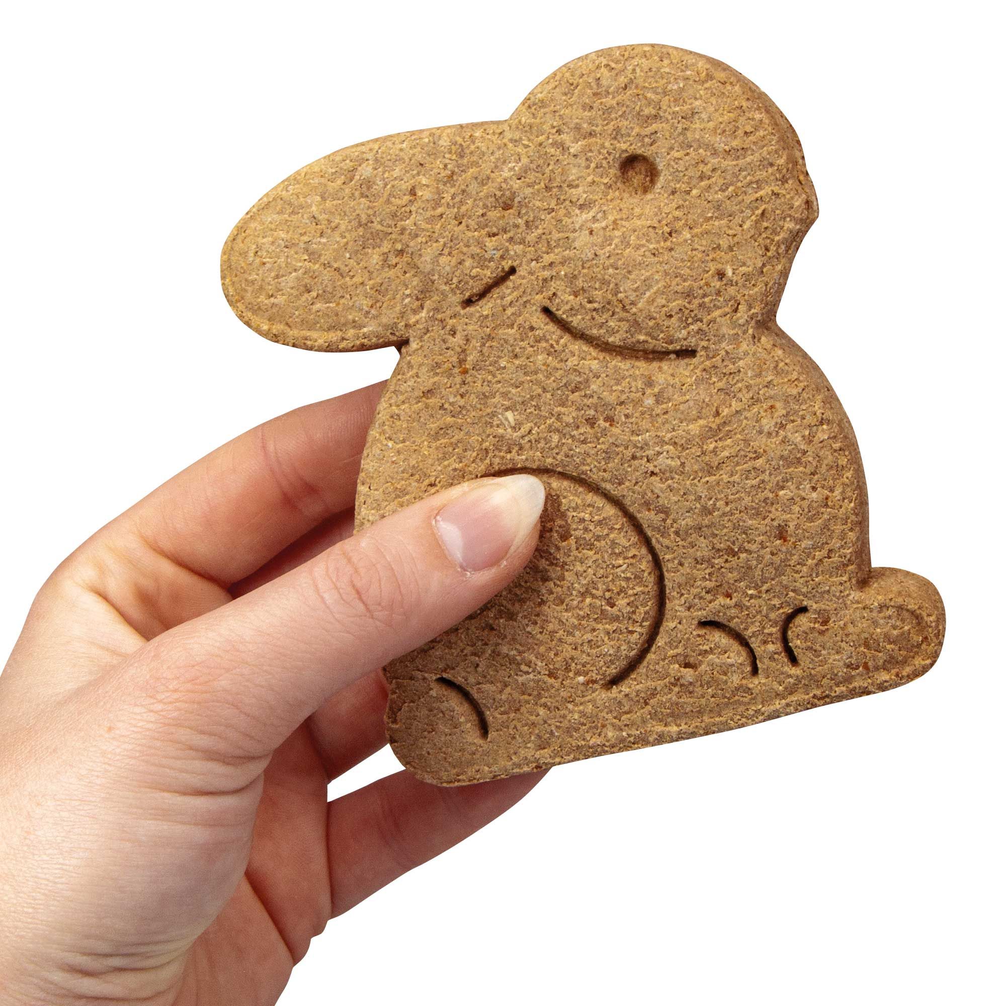 Hundekuchen in Hasenform, gehalten von einer Hand. Hellbraun, mit eingeprägten Details. Auf weißem Hintergrund.
