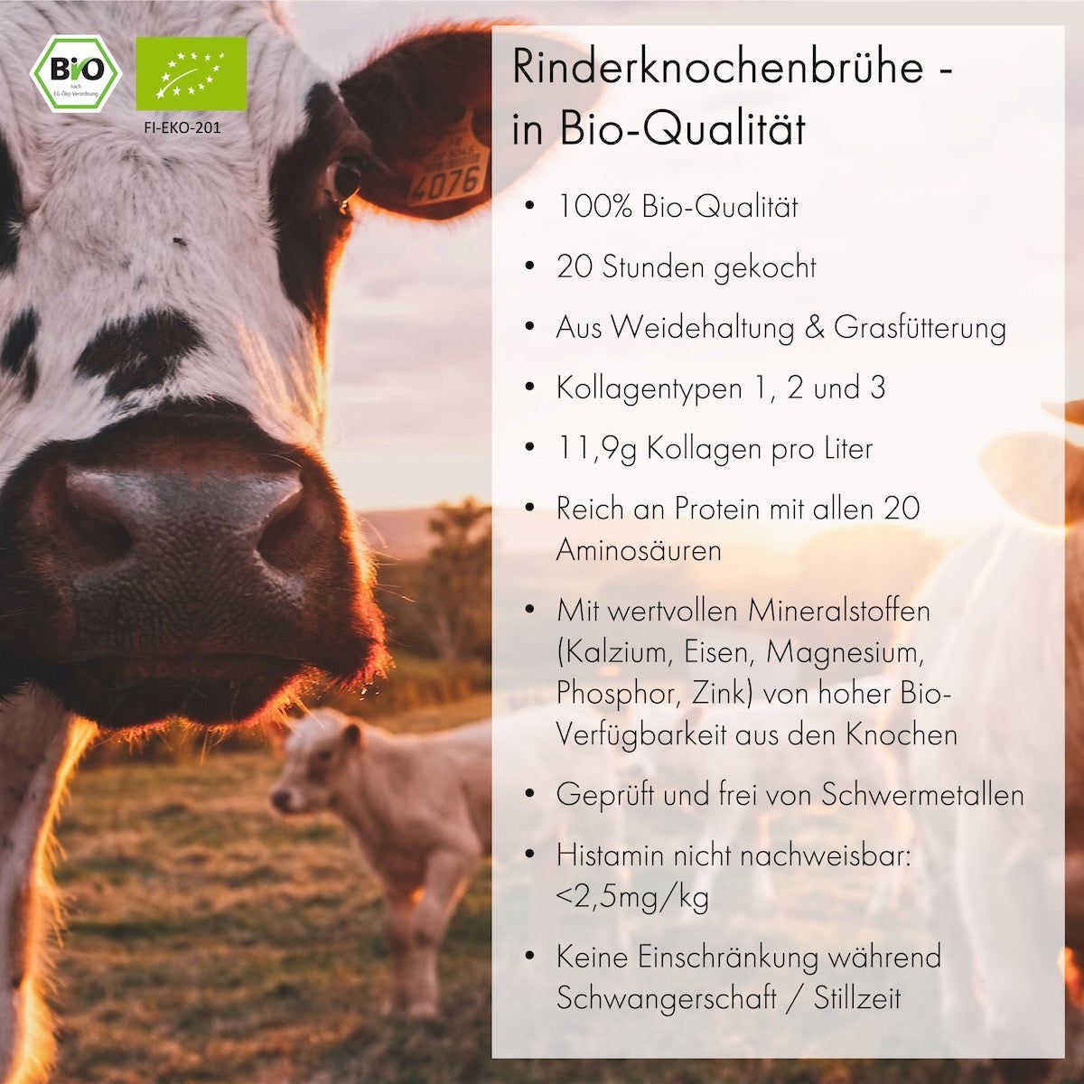 JARMINO Bio Rinderknochenbrühe