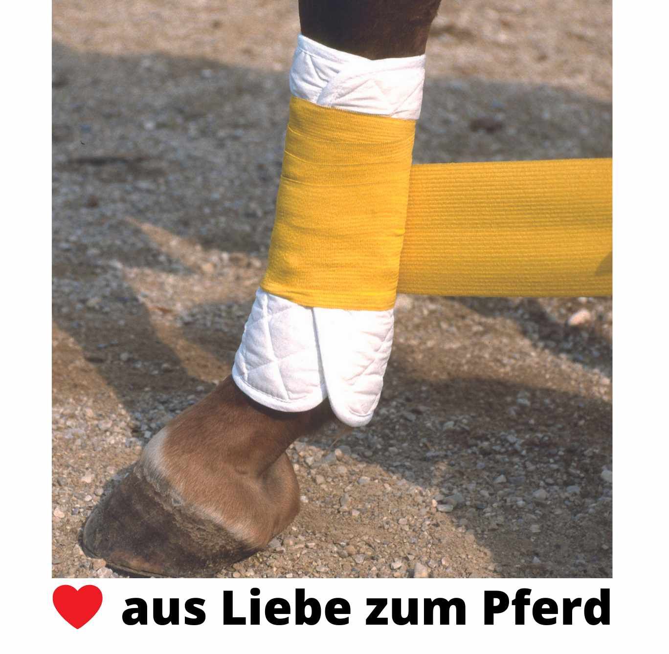 Gelbe Bandage am Pferdebein, umwickelt mit weißem Polster. Text: aus Liebe zum Pferd.