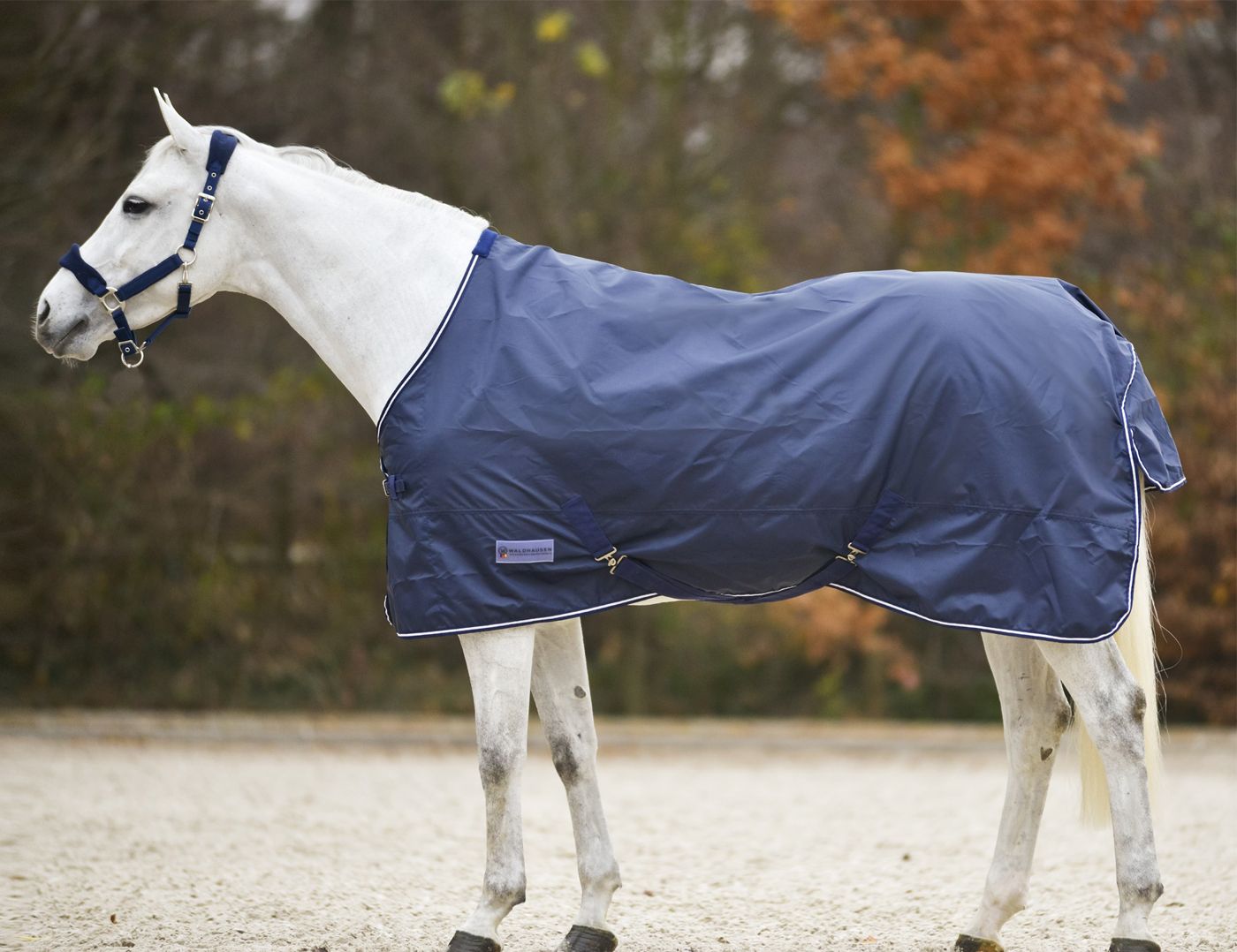 Waldhausen Regendecke Economic