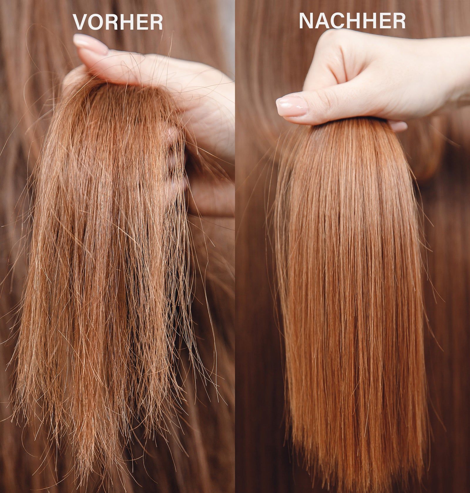 Vergleich von Haaren vor und nach der Behandlung. Links: trockenes Haar. Rechts: glattes Haar.