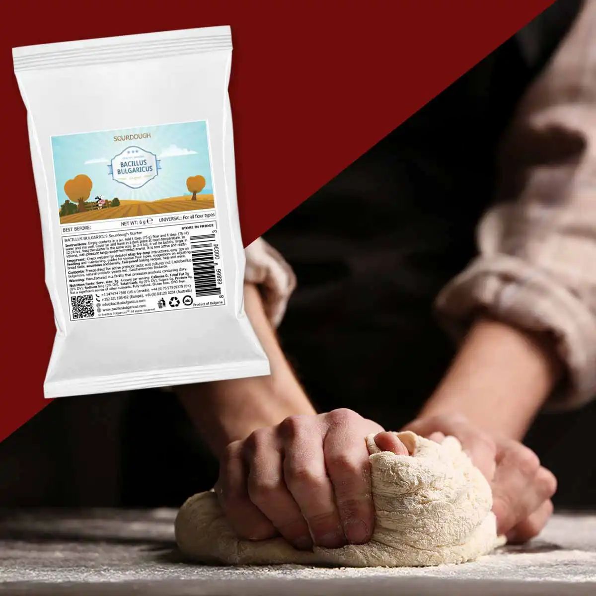 BACILLUS BULGARICUS Sauerteig-Starterkultur für echten Sauerteig