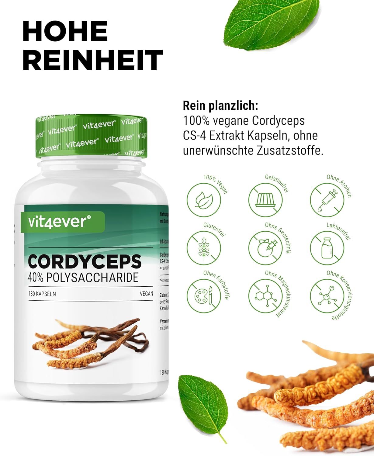 Eine Flasche Cordyceps Intenso. Aufschrift: vit4ever, Cordyceps 40% Polysaccharide, 180 Kapseln. Vegan. Abgebildet sind Cordyceps-Pilze.