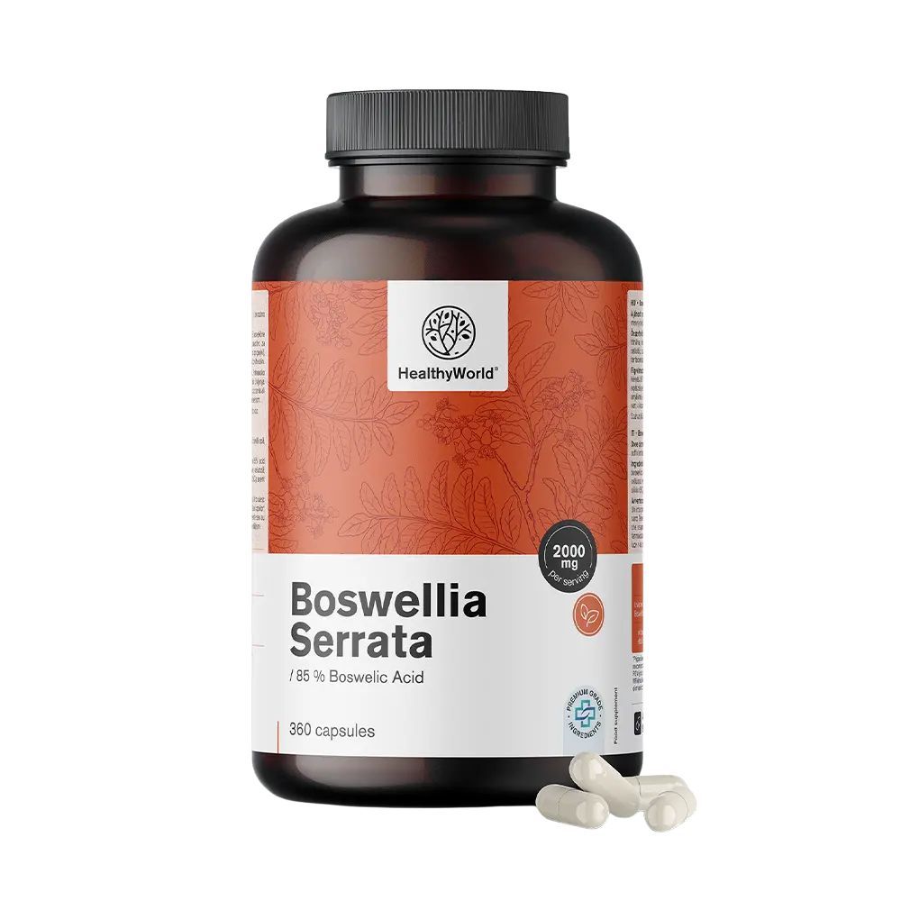 Braune Flasche mit Kapseln. Aufschrift: HealthyWorld, Boswellia Serrata, 85% Boswelliasäure, 360 Kapseln. Einige Kapseln liegen daneben.