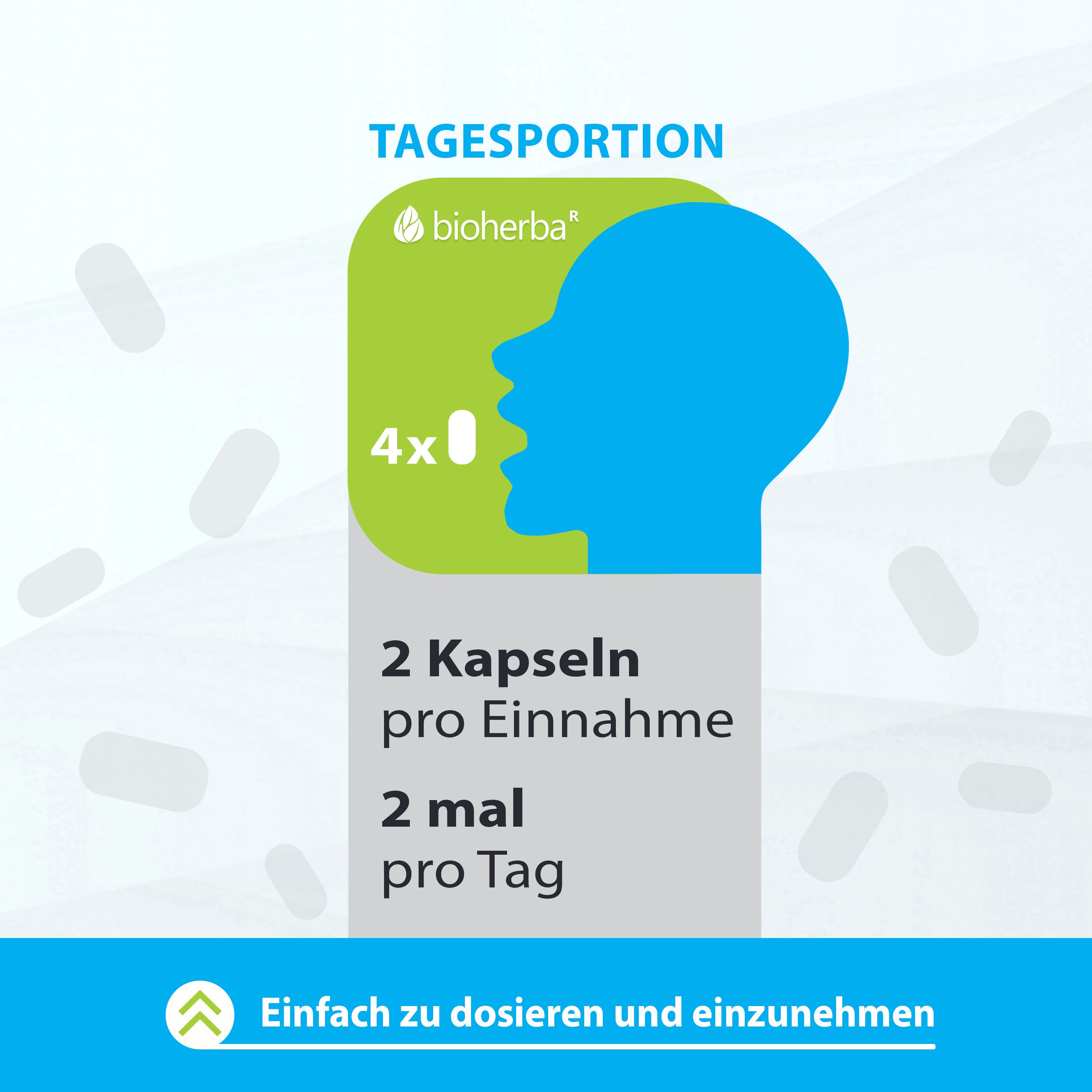 Grafik: 2 Kapseln, 2 mal täglich. Marke: bioherba. Einfache Dosierung und Einnahme. Blaue Silhouette eines Kopfes.