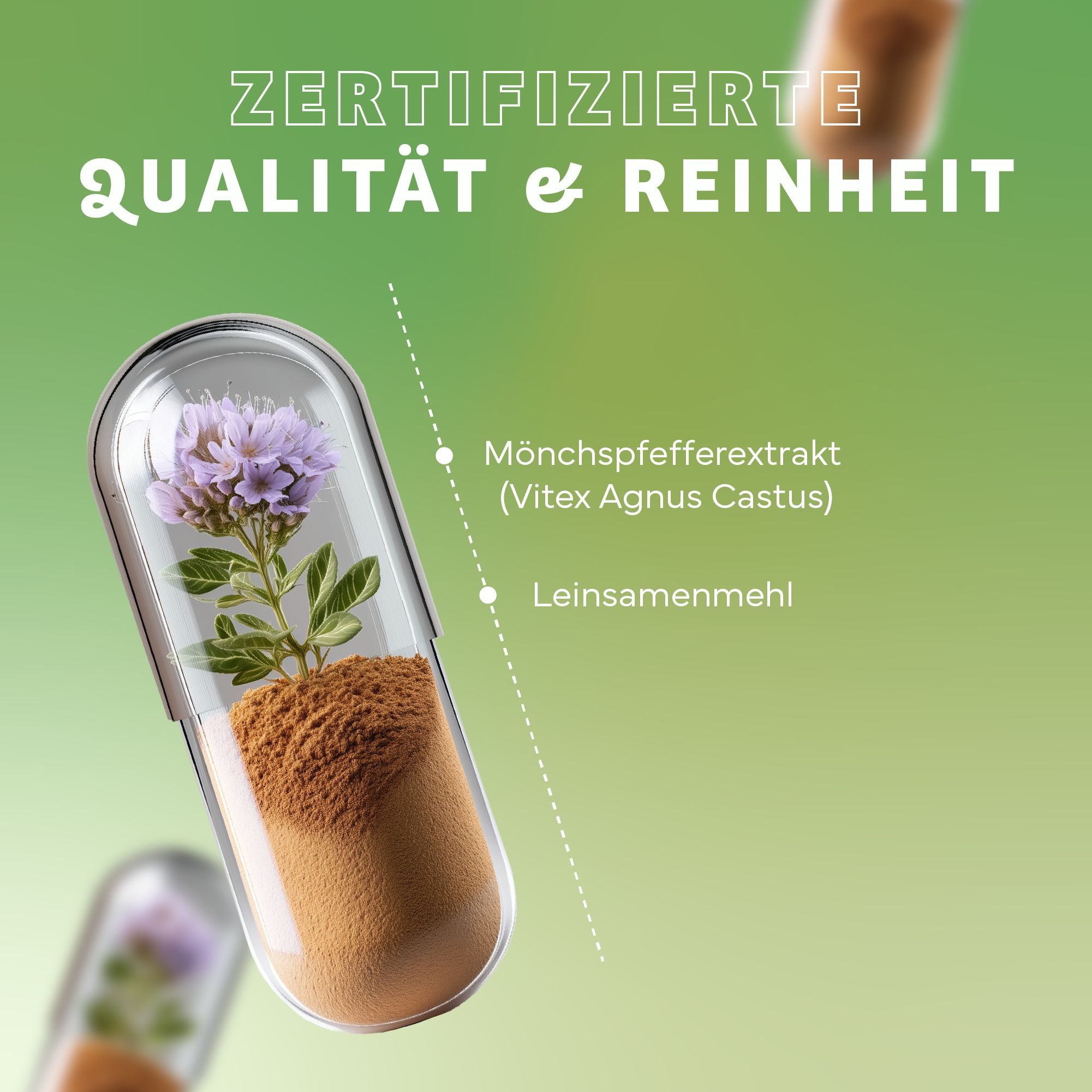 Kapsel mit Inhalt: Mönchspfefferextrakt und Leinsamenmehl. Hintergrund: grüne Blätter und weitere Kapseln.