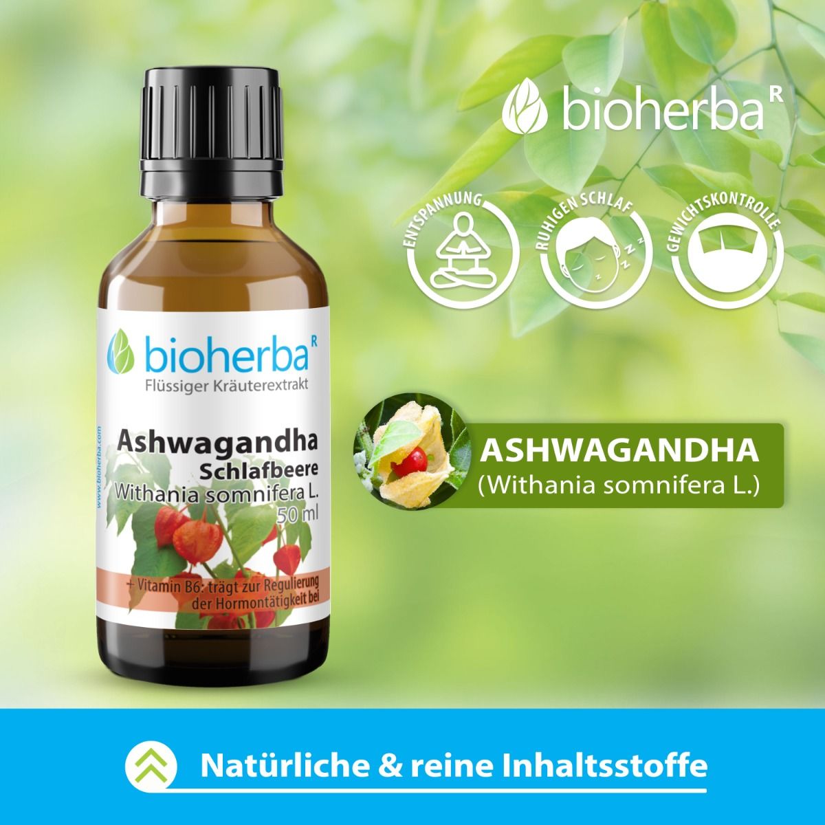 Braune Glasflasche mit schwarzem Deckel. Etikett mit Produktnamen und Illustrationen. Grün-weißer Hintergrund mit Logos.