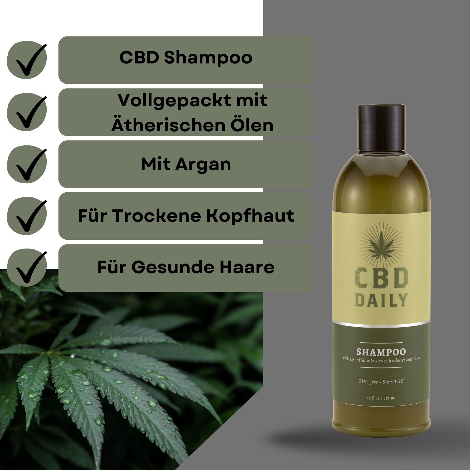 CBD-Shampoo-Flasche. Text: CBD Shampoo, vollgepackt mit ätherischen Ölen, mit Argan, für trockene Kopfhaut, für gesunde Haare.