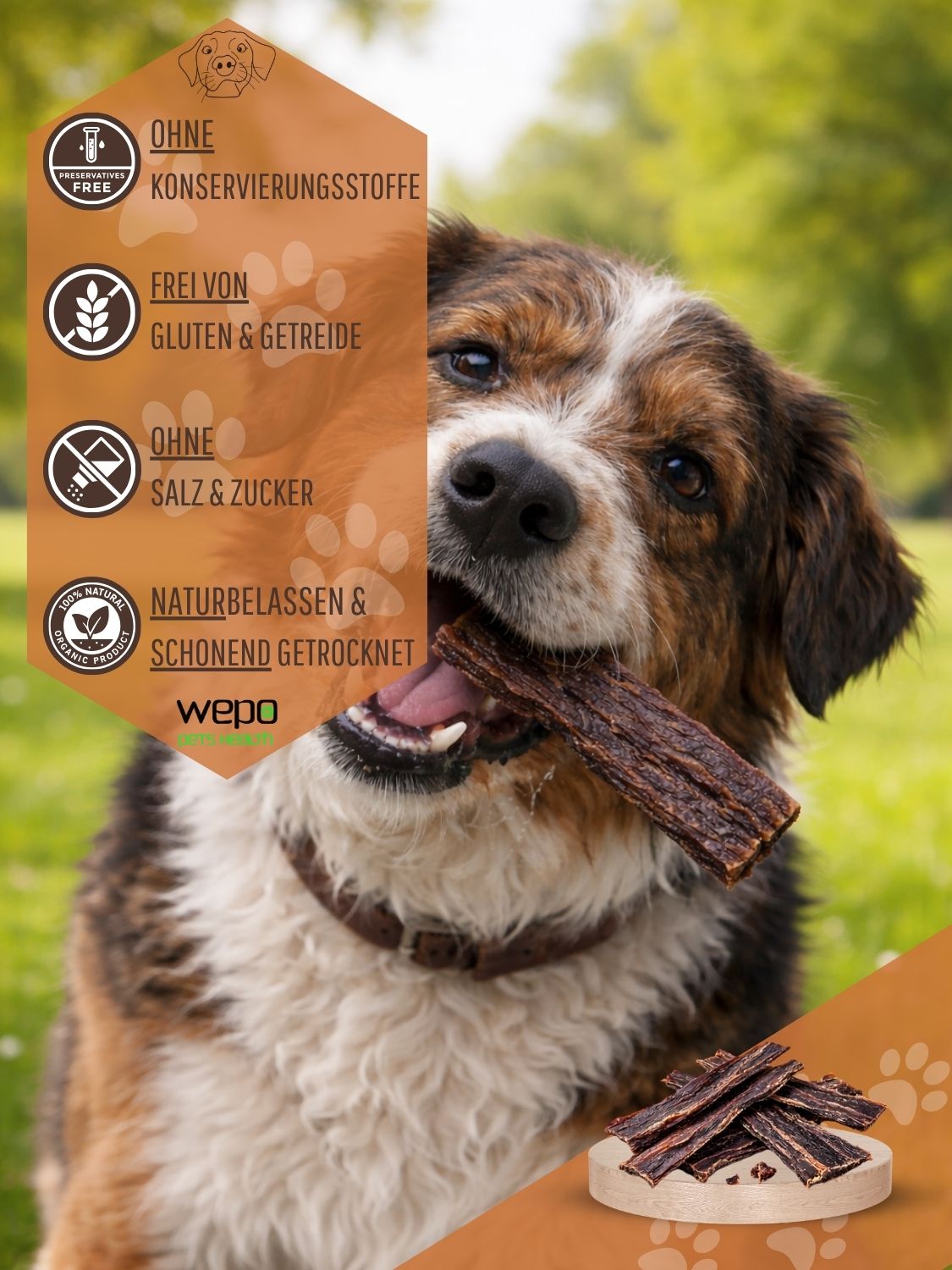 Hund mit getrocknetem Rinderdörrfleisch im Maul. Text: Ohne Konservierungsstoffe, glutenfrei, ohne Salz & Zucker, natürlich getrocknet.