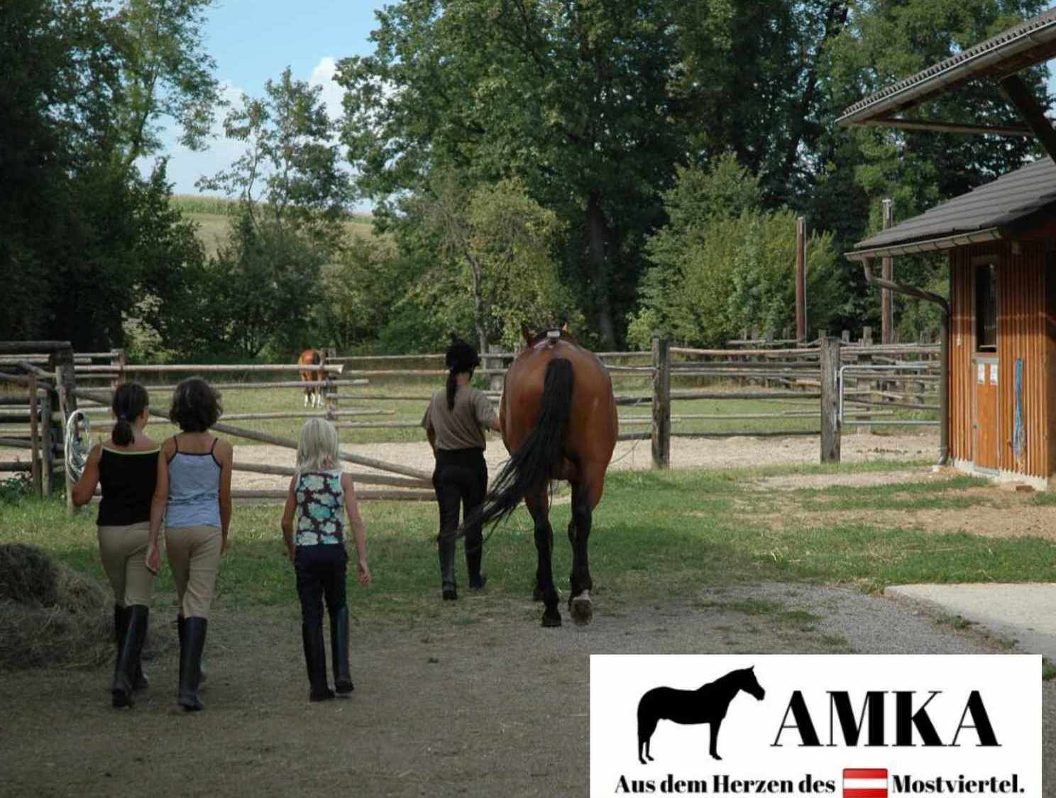 AMKA Putzbox LINA