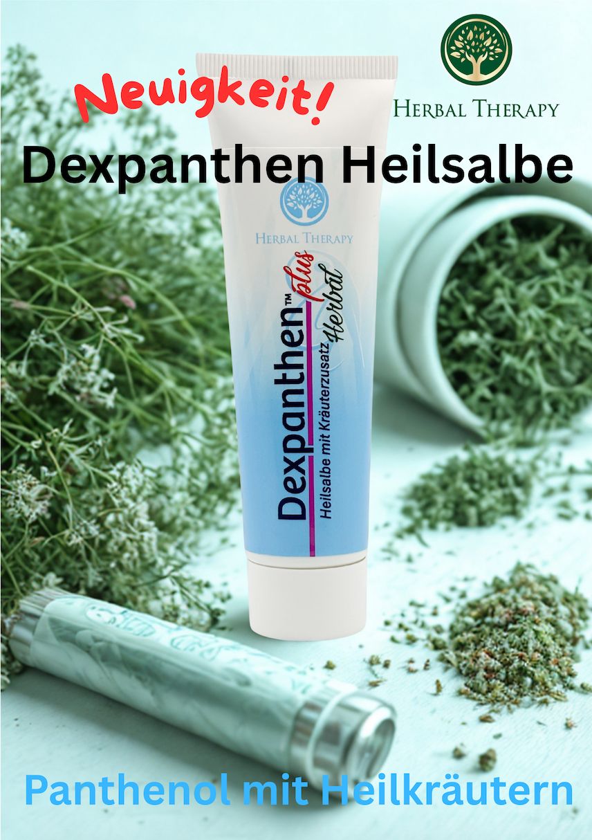 Werbeplakat mit Herbal Therapy Dexpanthen Heilsalbe. Tube, Kräuter und Text: Neuigkeit! Panthenol mit Heilkräutern.