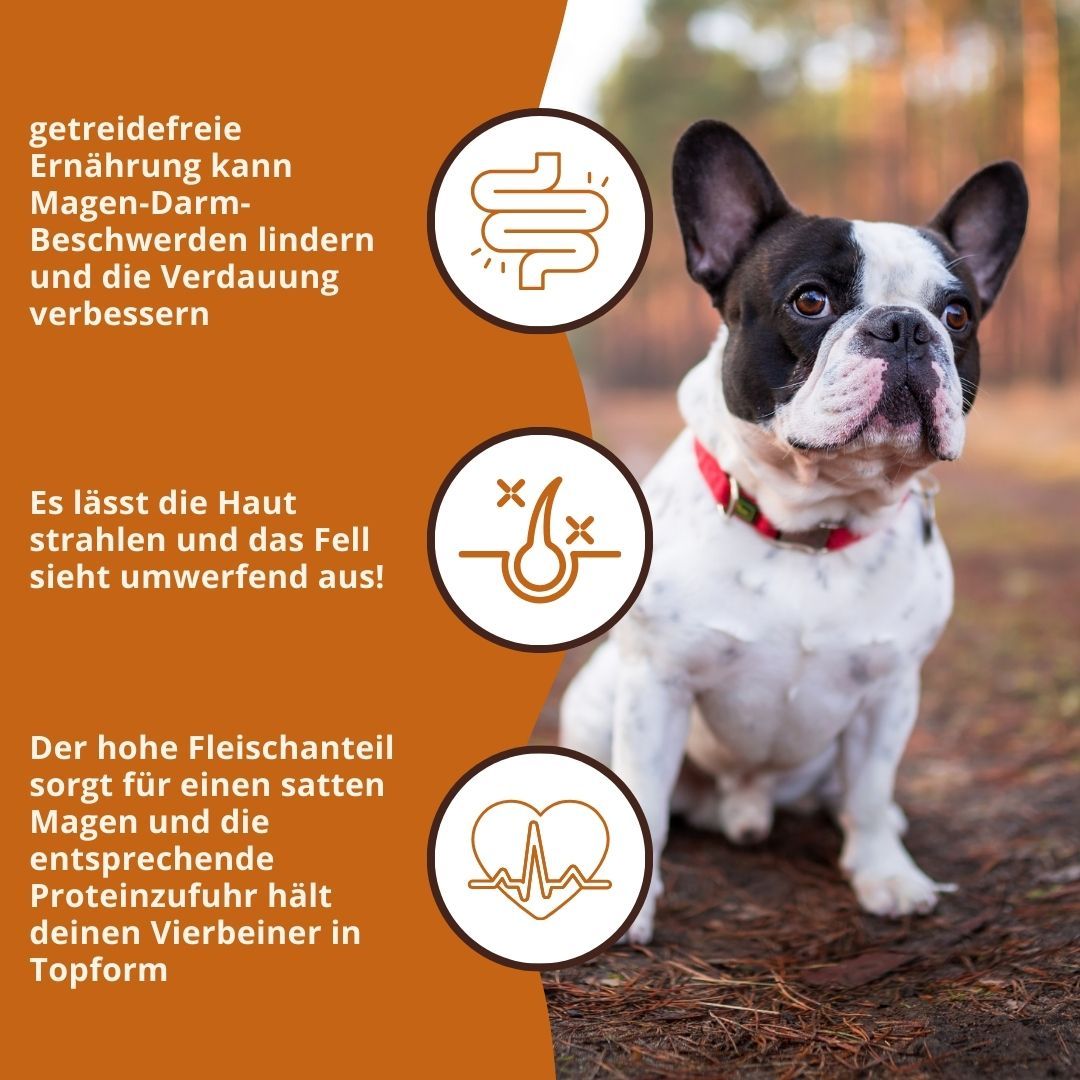 Hund mit Wildfang Adult Trockenfutter mit Kaninchen: Vorteile für Verdauung, Haut und Fell, Herz.