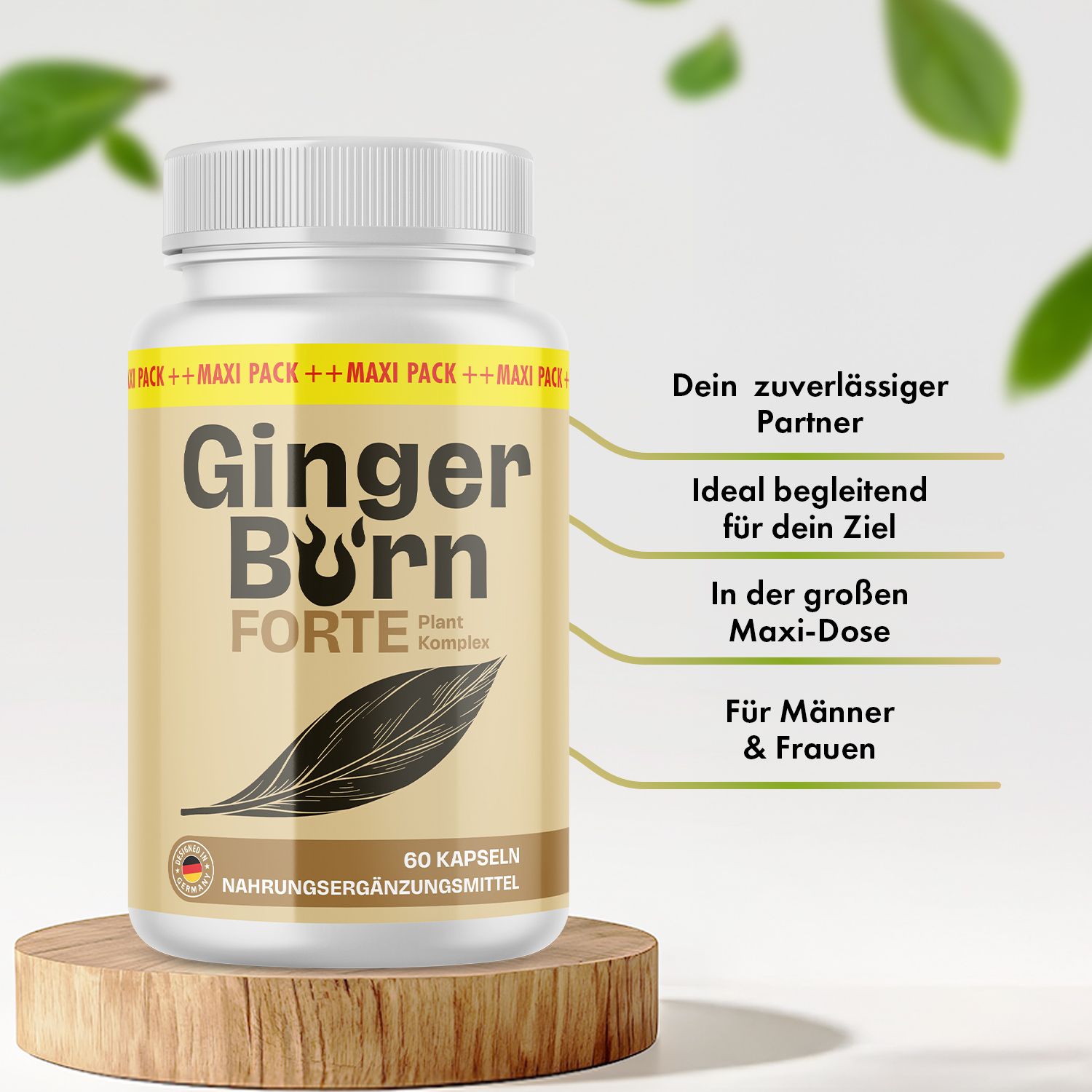 Weiße Flasche "Ginger Burn Forte" auf Holzsockel. Text in Deutsch. Zusätzliche Textfelder mit Vorteilen.