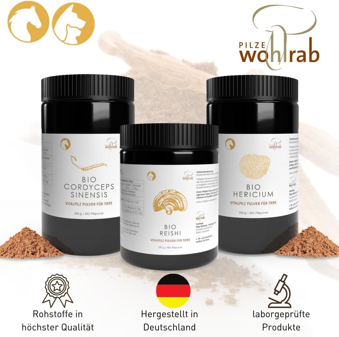 Drei Dosen mit weißem Etikett. BIO Cordyceps Sinensis, BIO Reishi, BIO Hericium. Braunes Pulver daneben.
