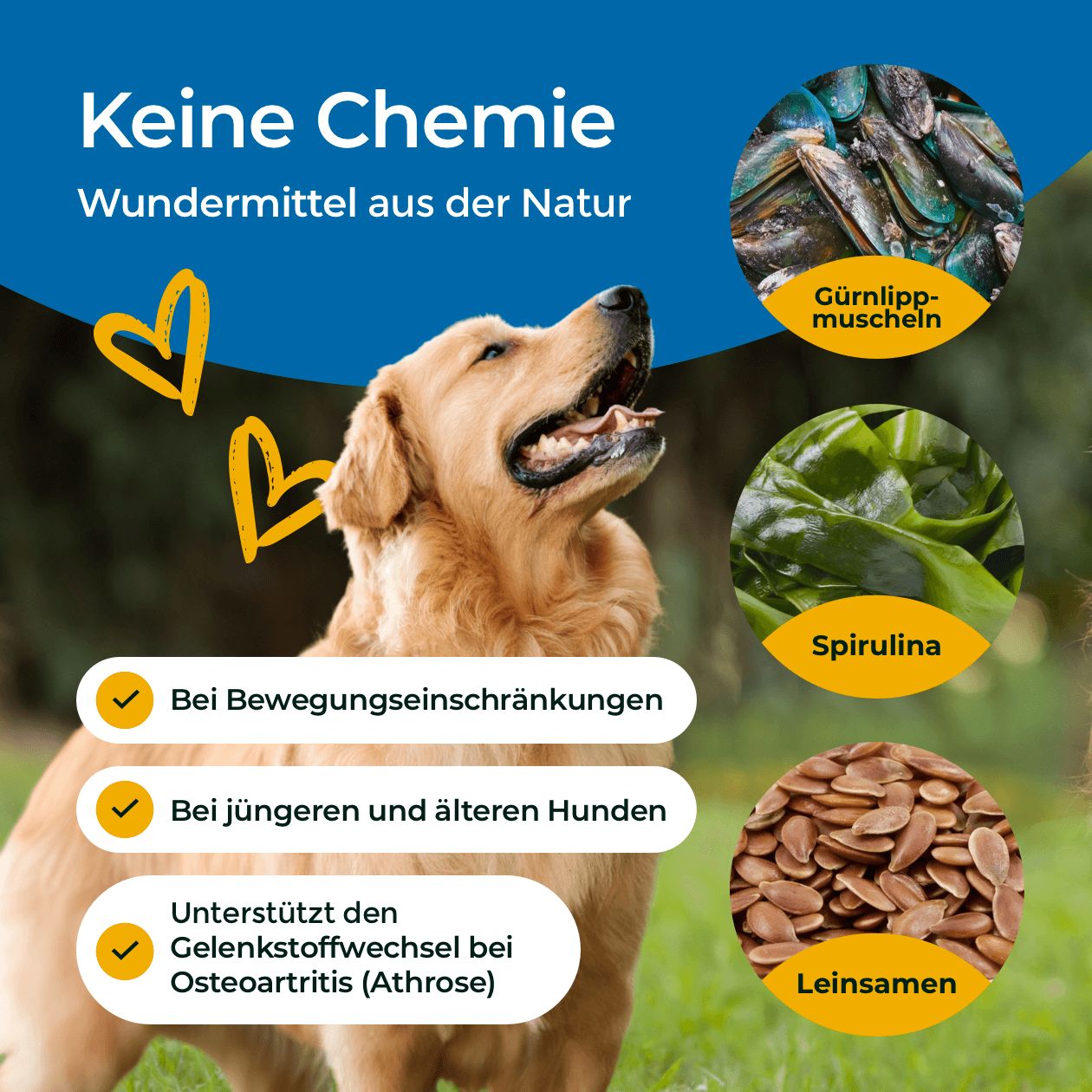 Hund, Zutaten: Grünlippmuscheln, Spirulina, Leinsamen. Text: "Gelenke + Perlenkomplex", "Keine Chemie".