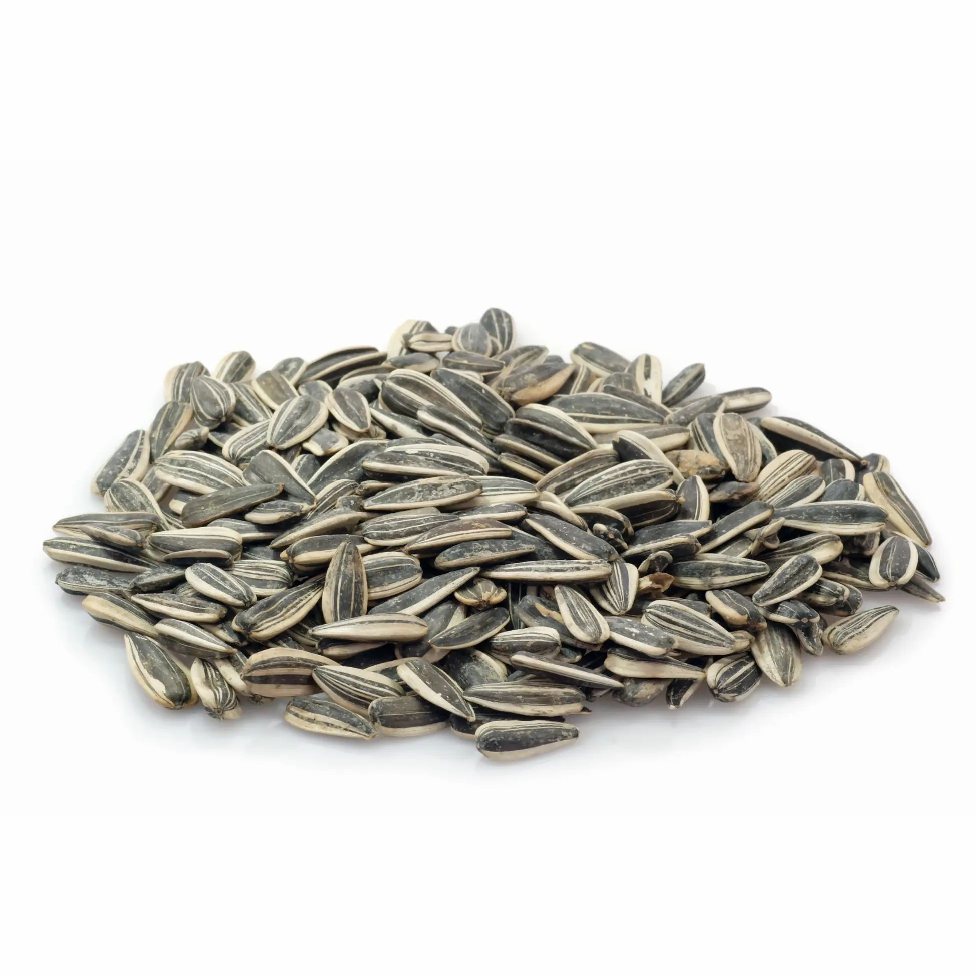 Haufen Sonnenblumenkerne, gesalzen. Schwarz-weiß gestreifte Schalen. Auf weißem Hintergrund.
